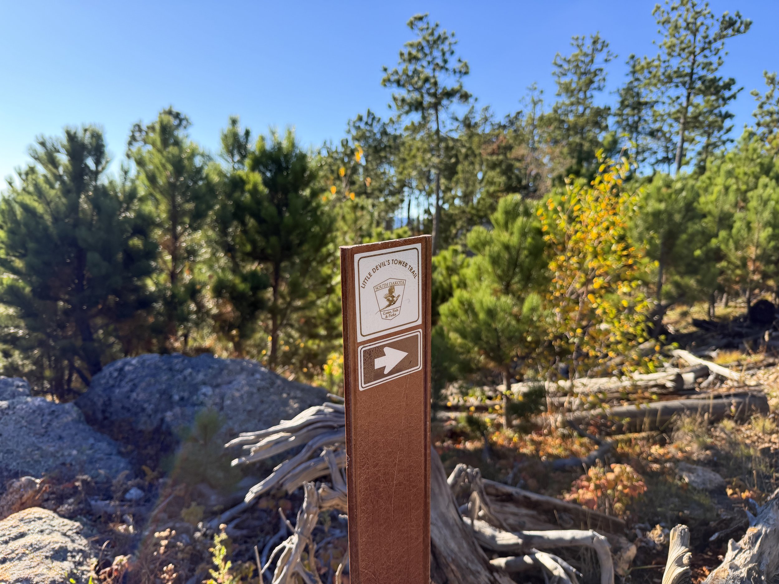 Little Devils Tower Hike Custer State Park Black Hills South Dakota