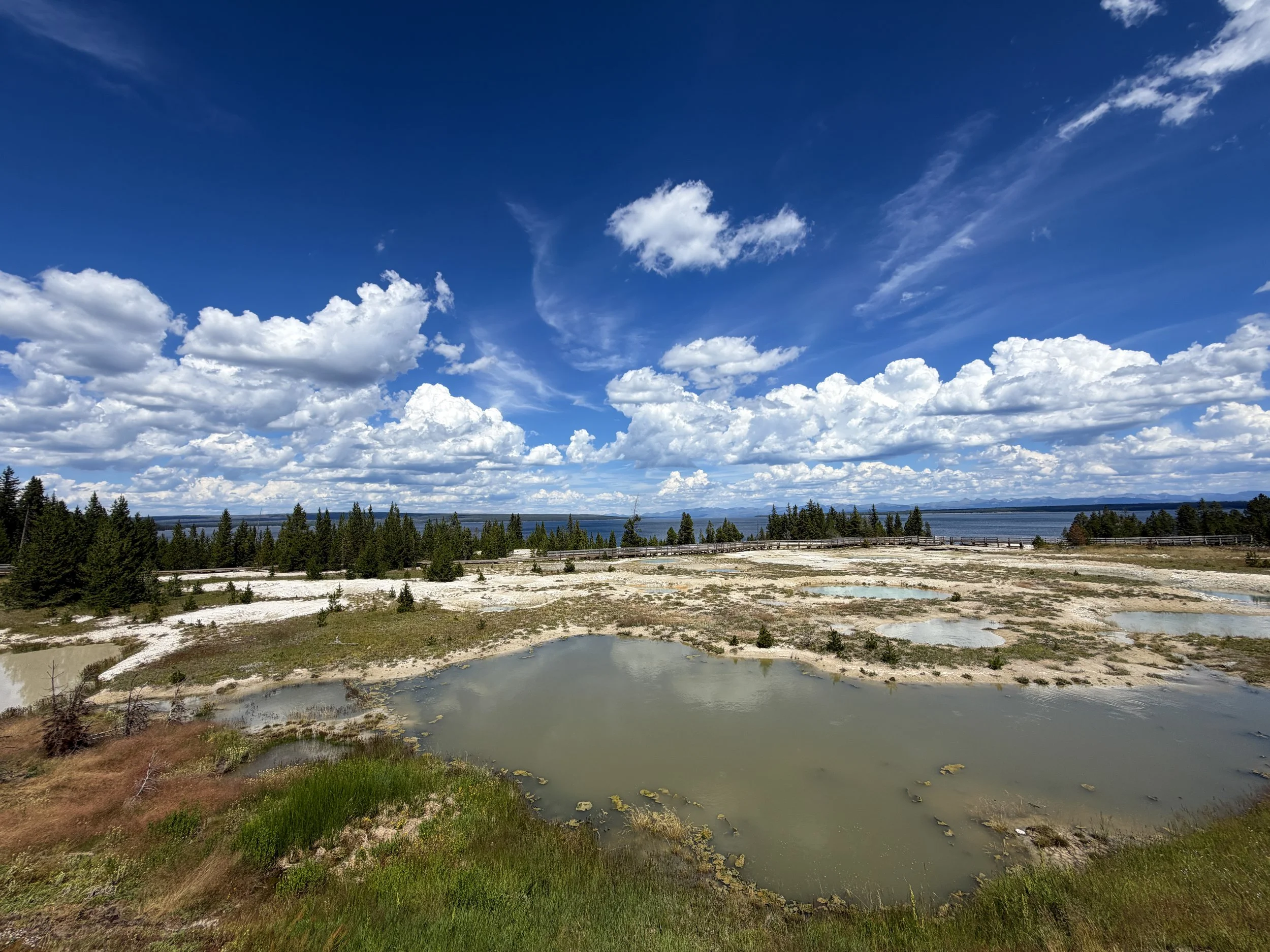 Mimulus Pool West Thumb Geyser Basin Trail Yellowstone National Park Wyoming