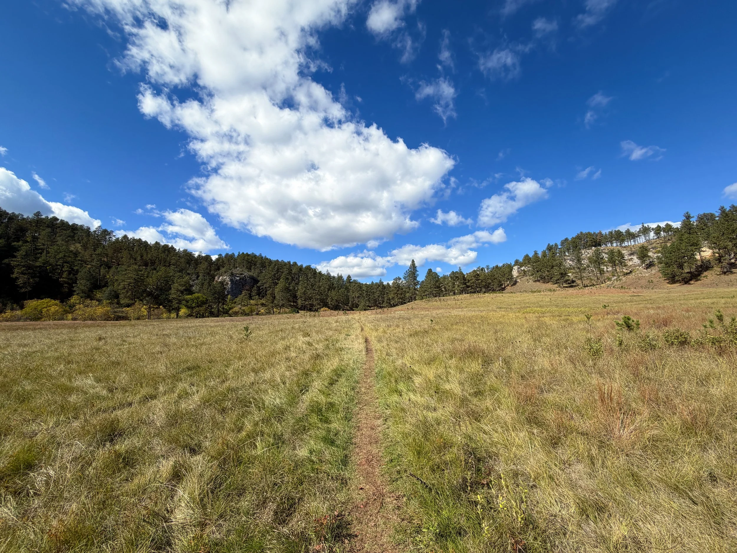 Lookout Point Loop Trail Wind Cave National Park South Dakota