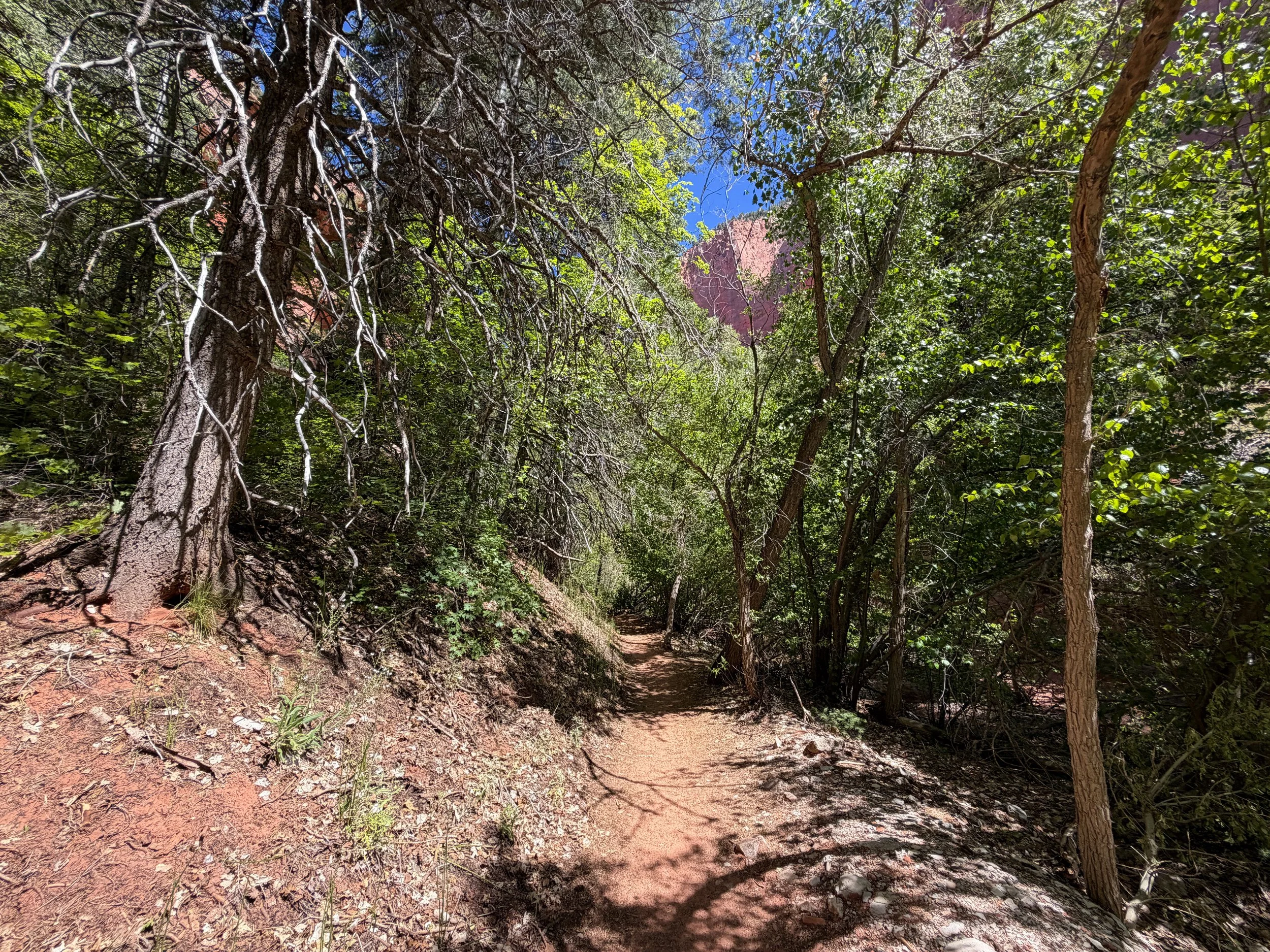 Taylor Creek Trail Zion National Park Utah