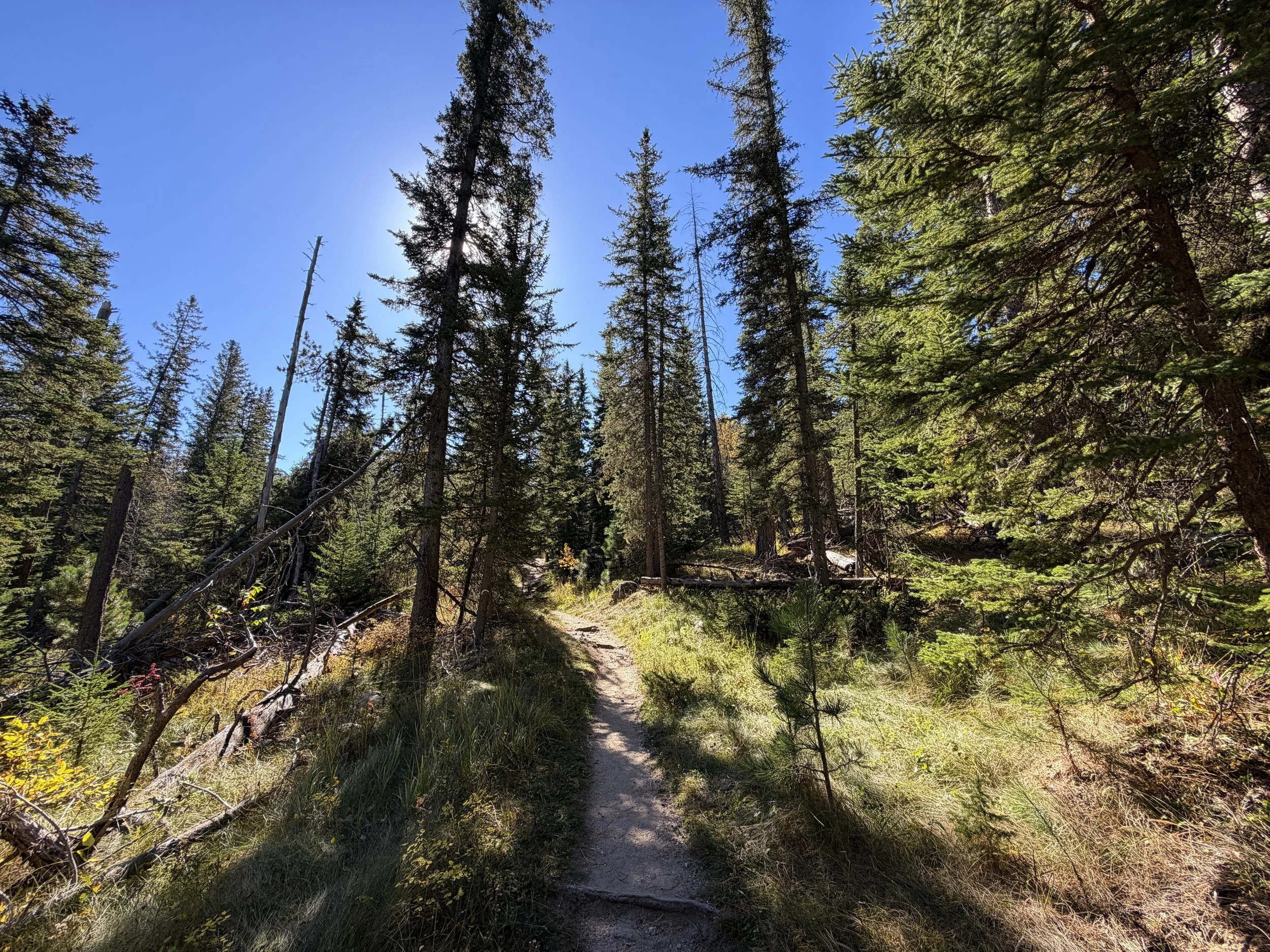Sunday Gulch Trail Custer State Park Black Hills South Dakota