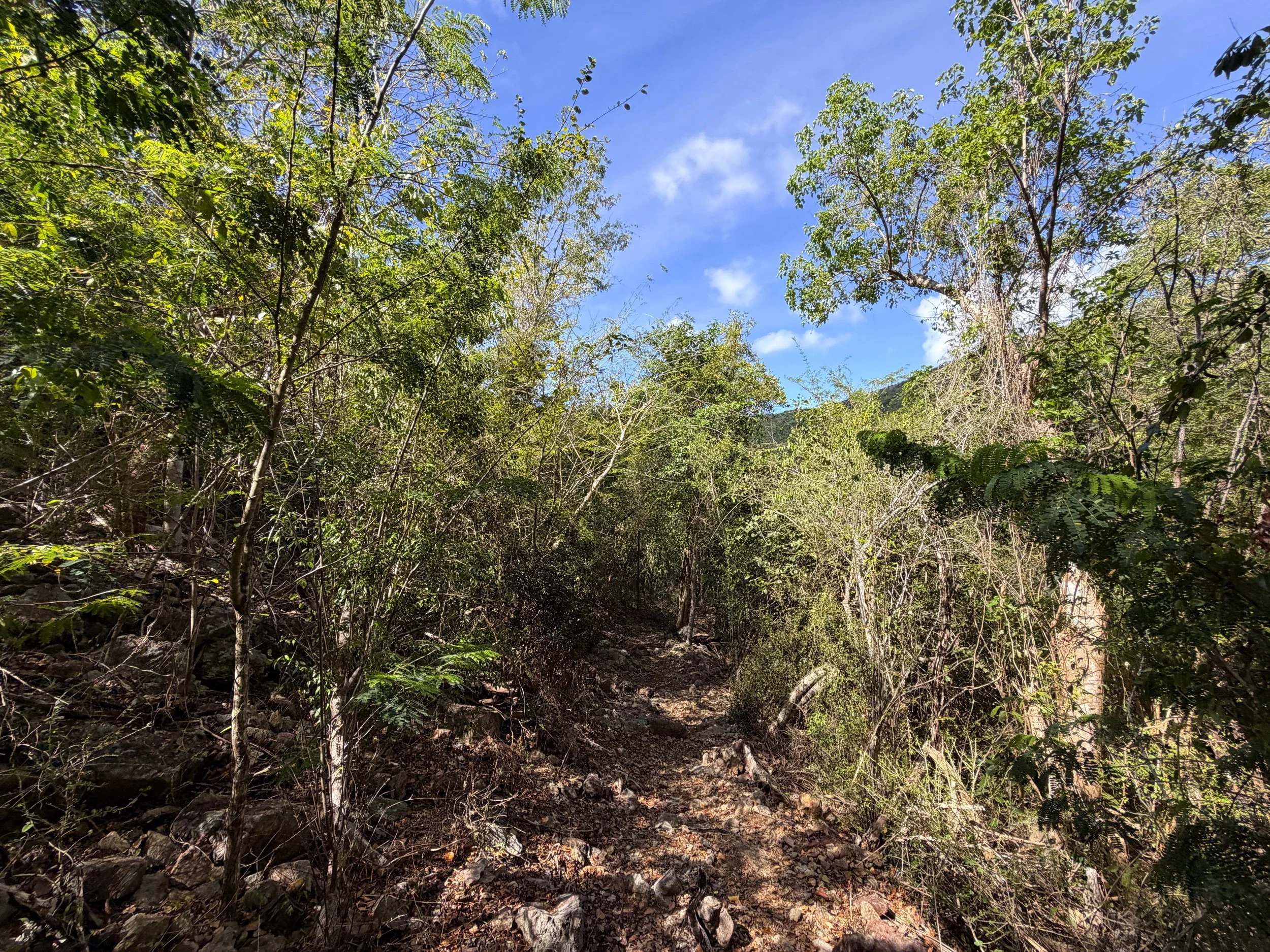 Lameshur Bay Trail to Europa Bay Virgin Islands National Park