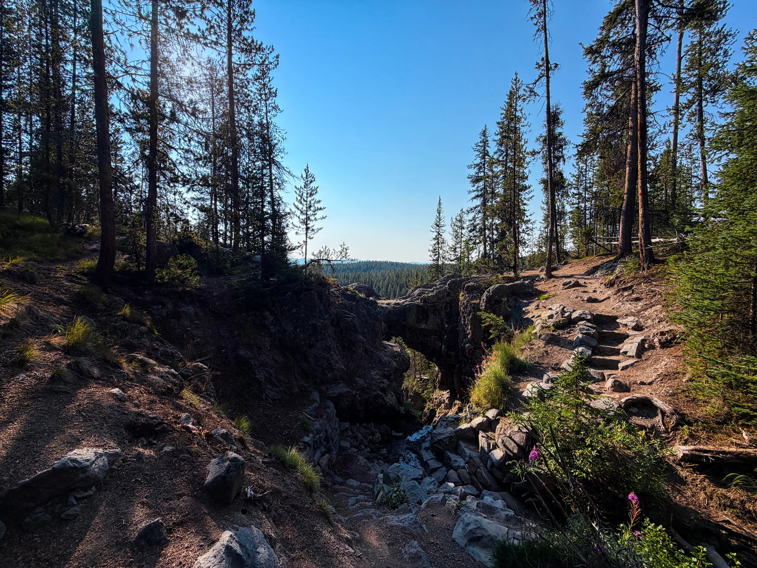 Natural Bridge Trail Yellowstone National Park Wyoming