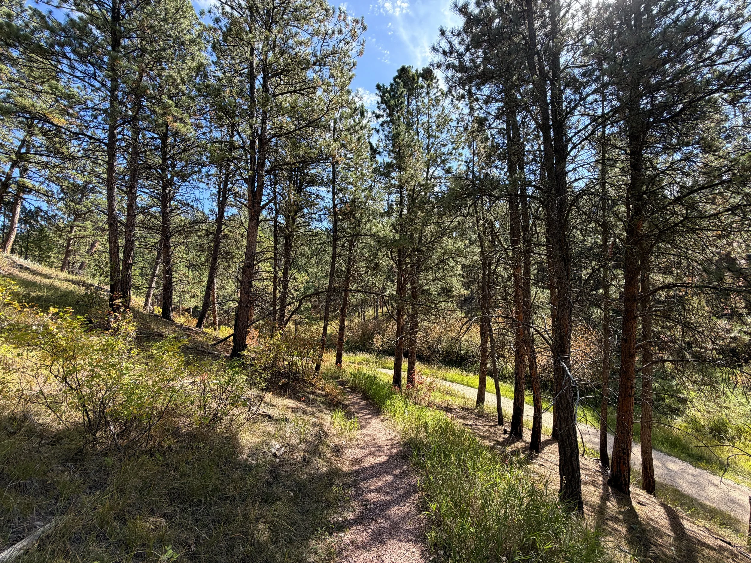 Canyons Trail Switchbacks Jewel Cave National Monument Black Hills South Dakota