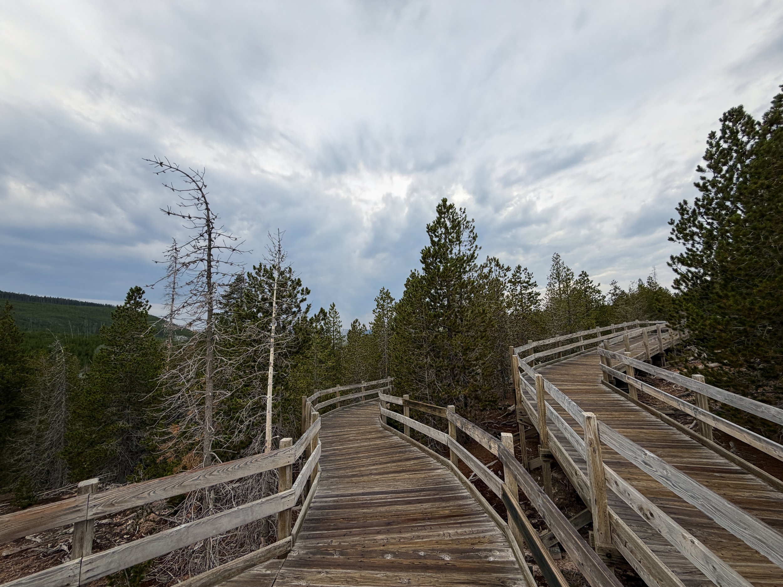 Back Basin Trail Norris Geyser Basin Yellowstone National Park Wyoming