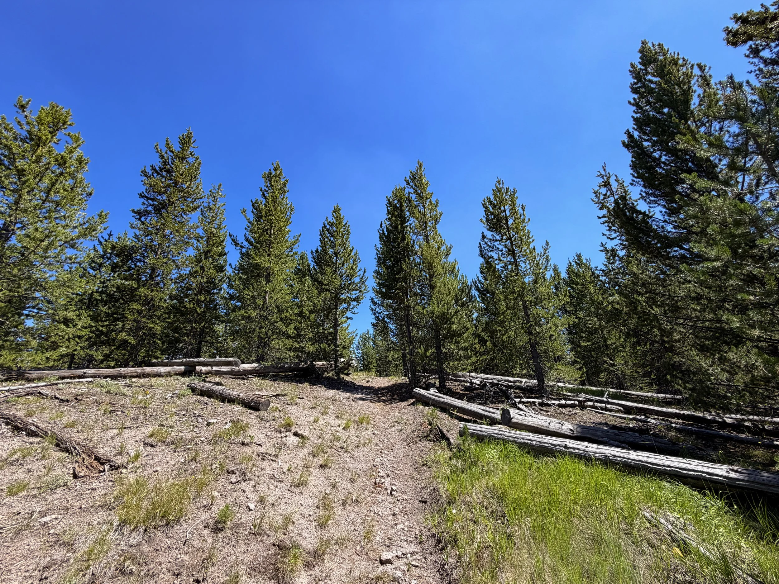 Fern Cascades Loop Trail Yellowstone National Park Wyoming