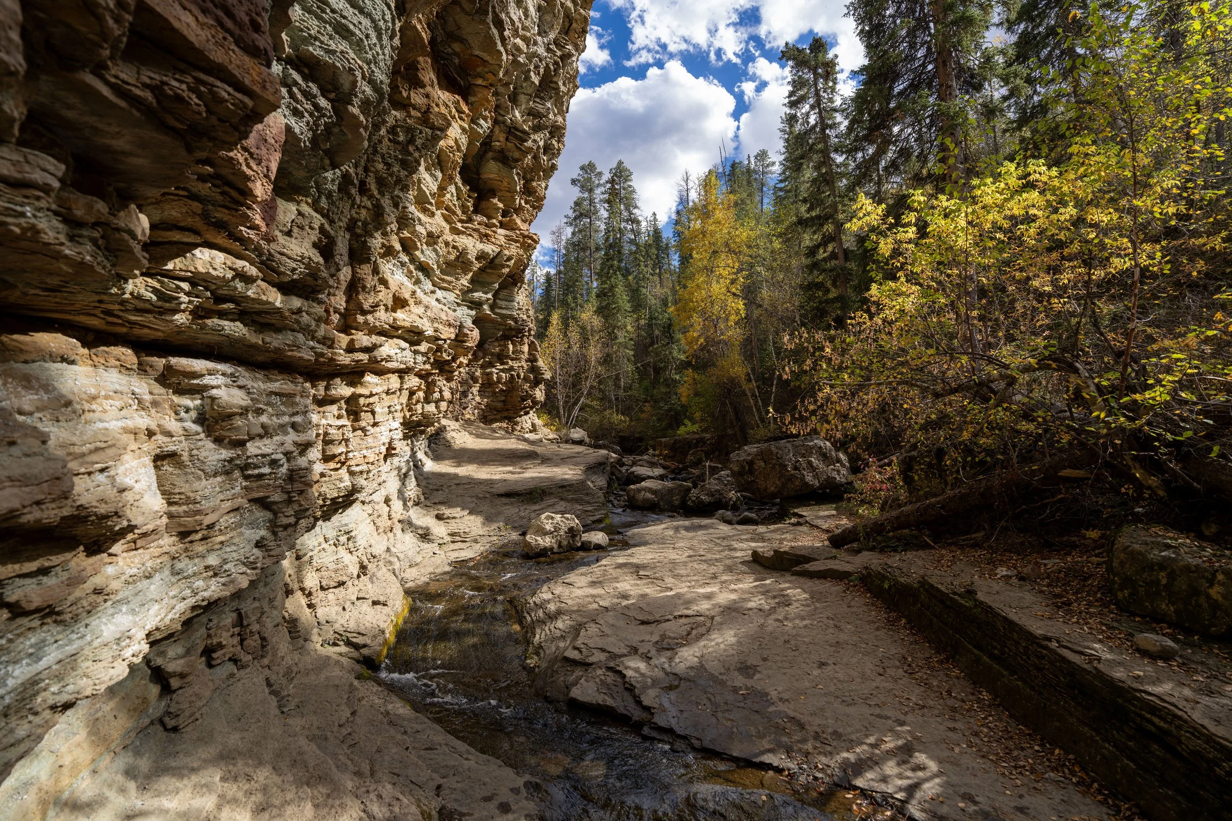 Devils Bathtub Trail Spearfish Canyon Black Hills South Dakota