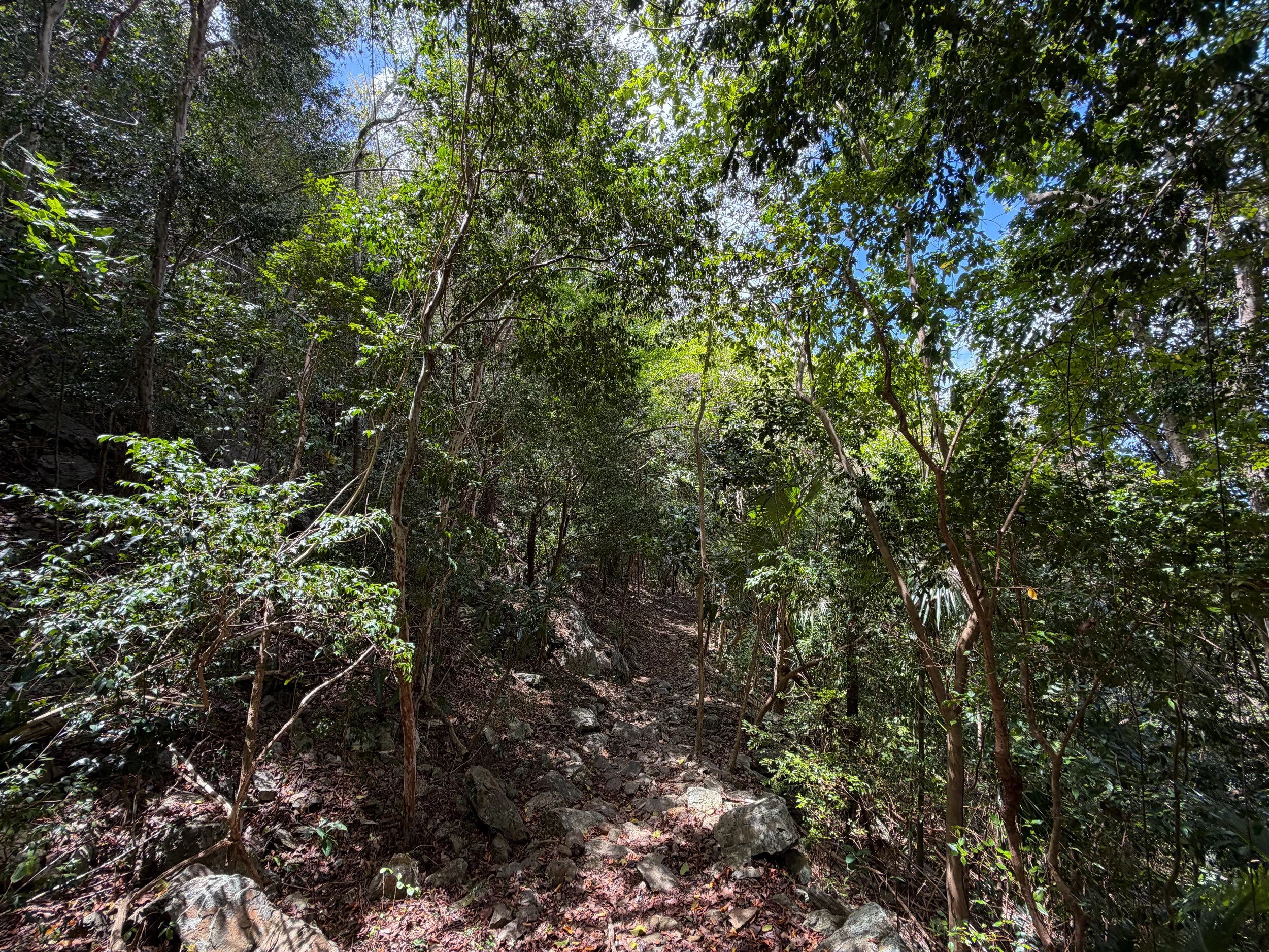 Maria Hope Trail Virgin Islands National Park