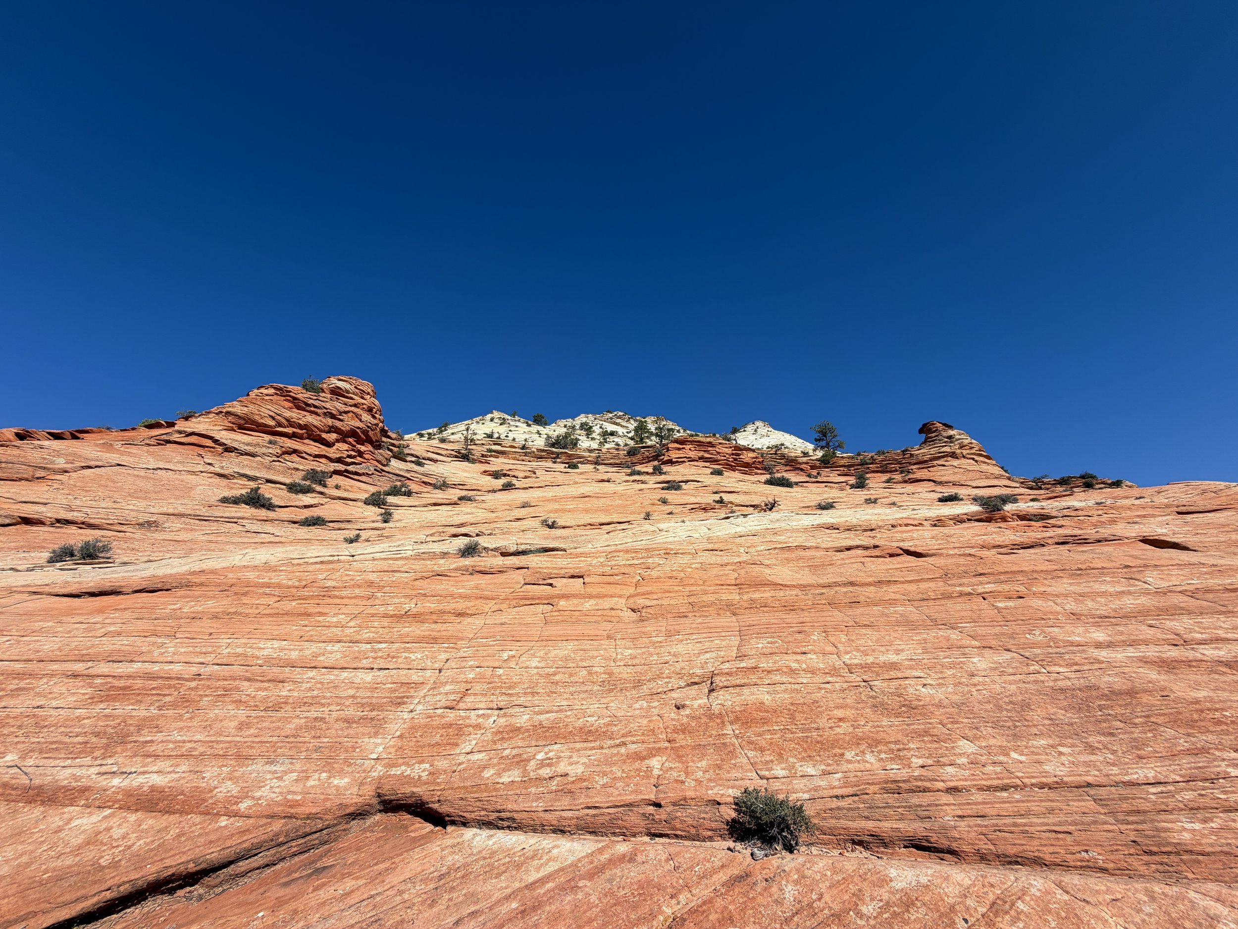 South Ariel Peak Trail Zion National Park Utah