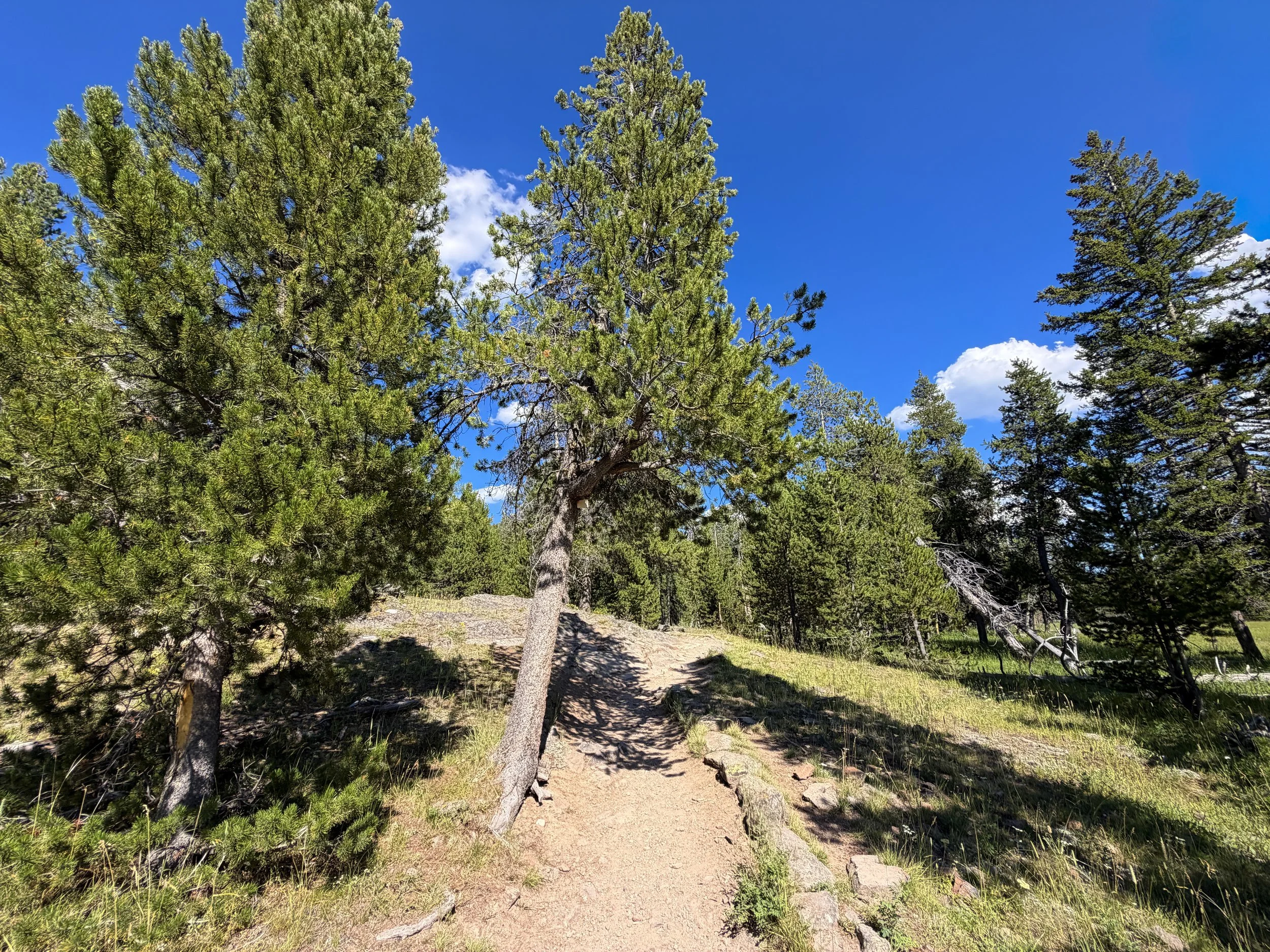 Observation Point Trail Yellowstone National Park Wyoming