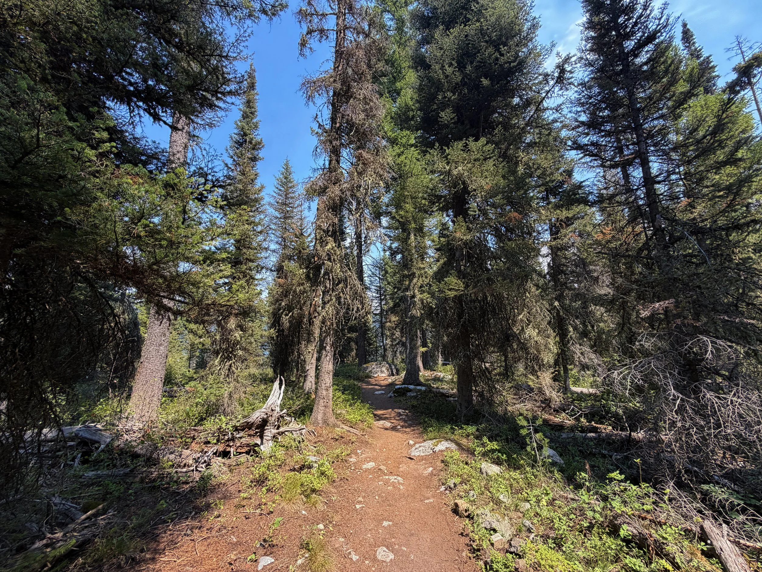 Phelps Lake Loop Trail Grand Teton National Park Wyoming
