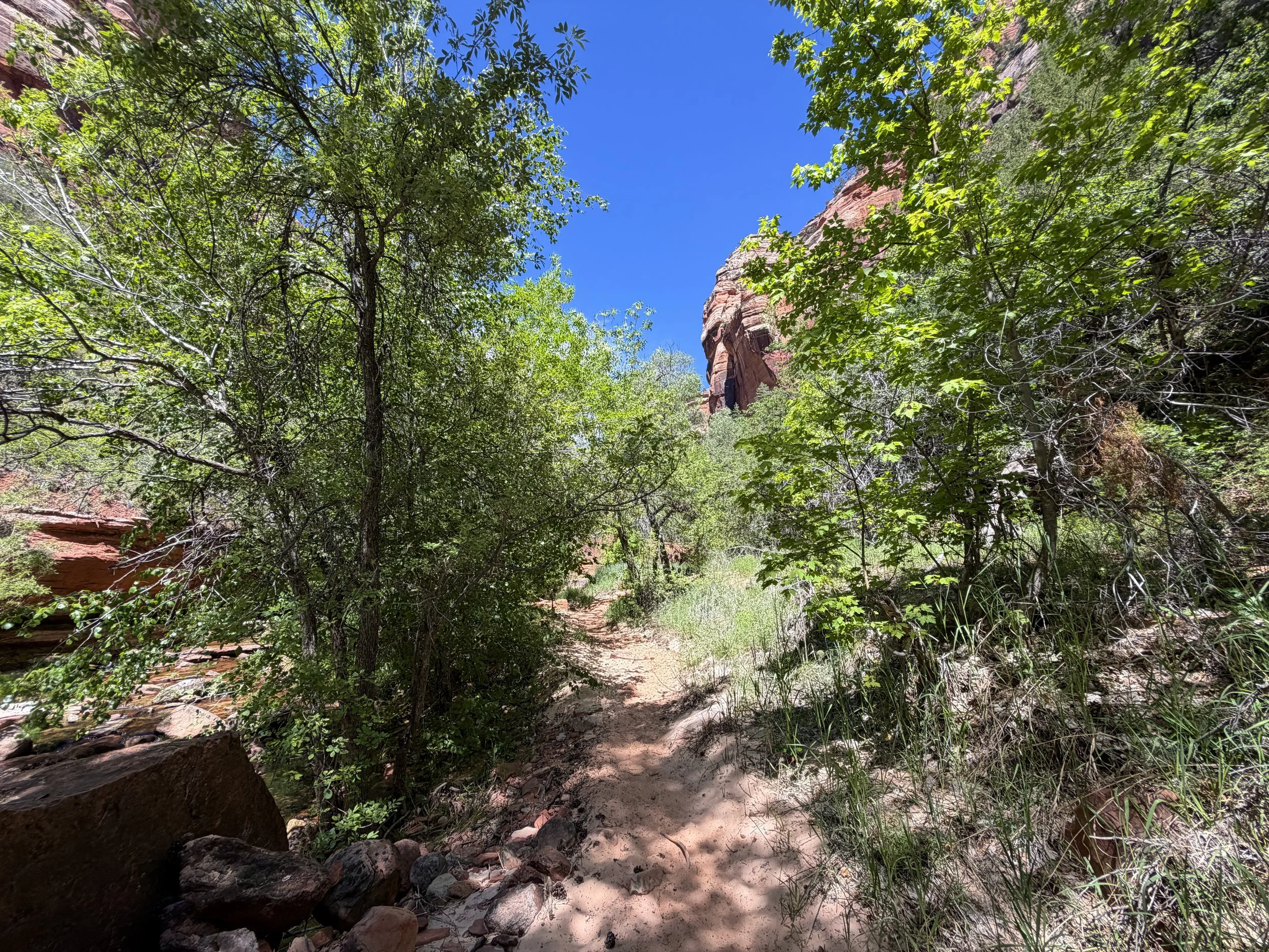 Left Fork North Creek Trail to the Subway Zion National Park Utah