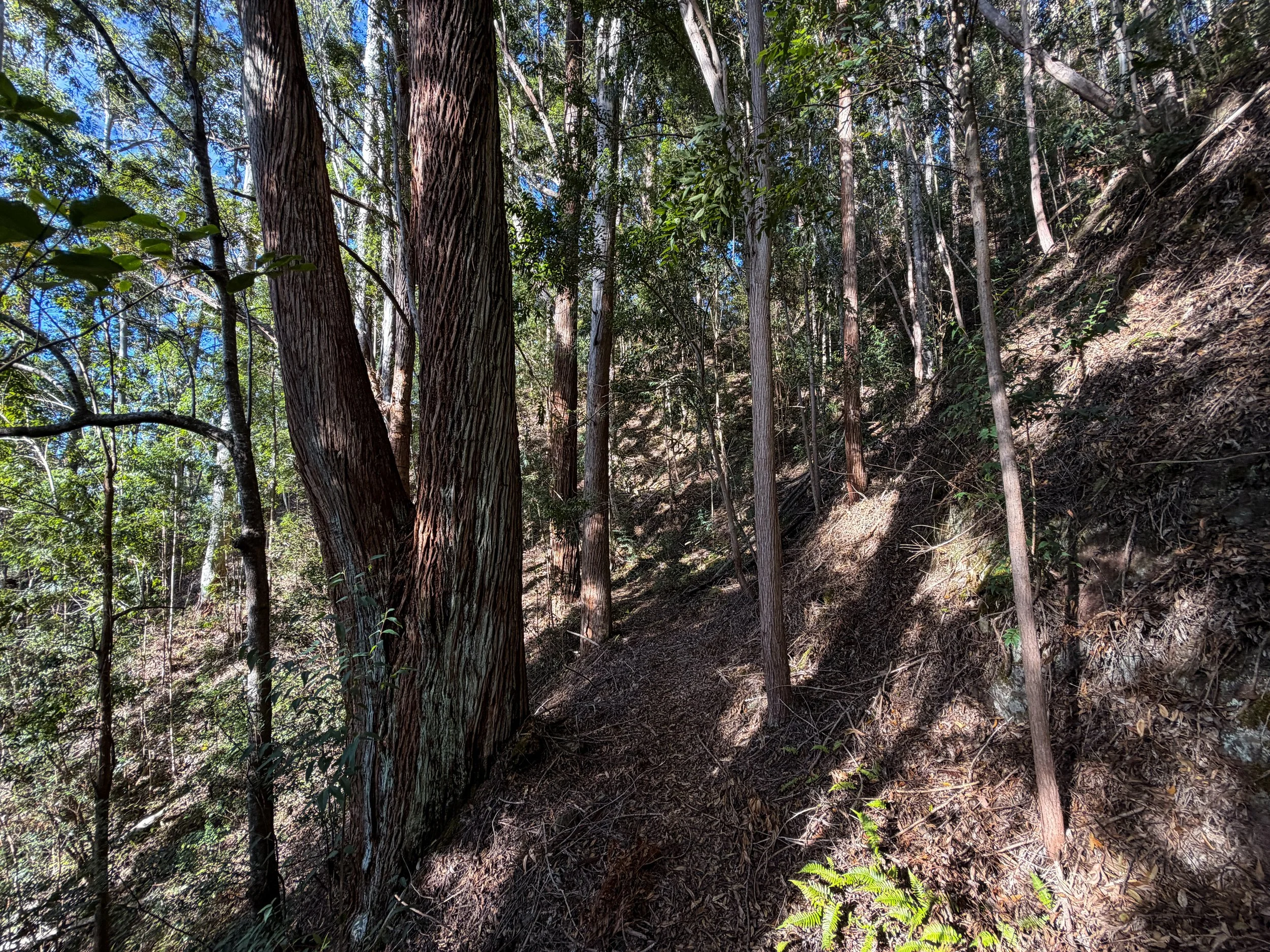 Mokuleia Trail Oahu Hawaii