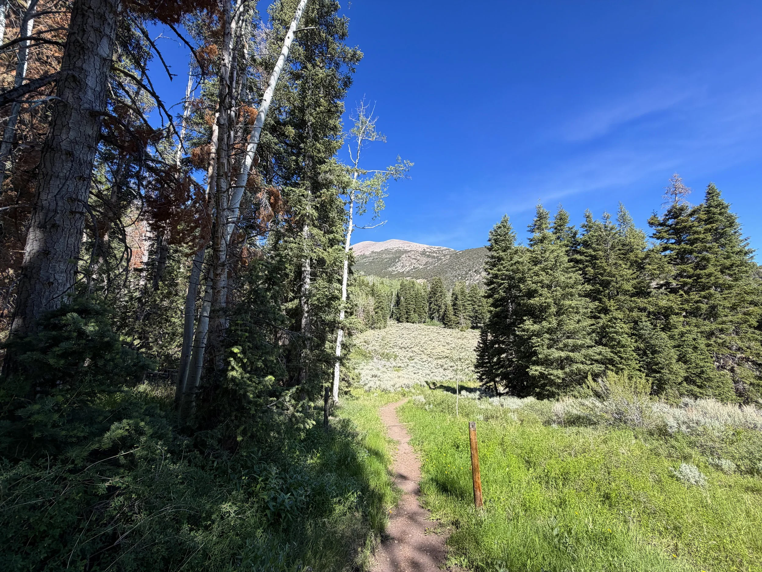 Pole Canyon Loop Hike Great Basin National Park Nevada