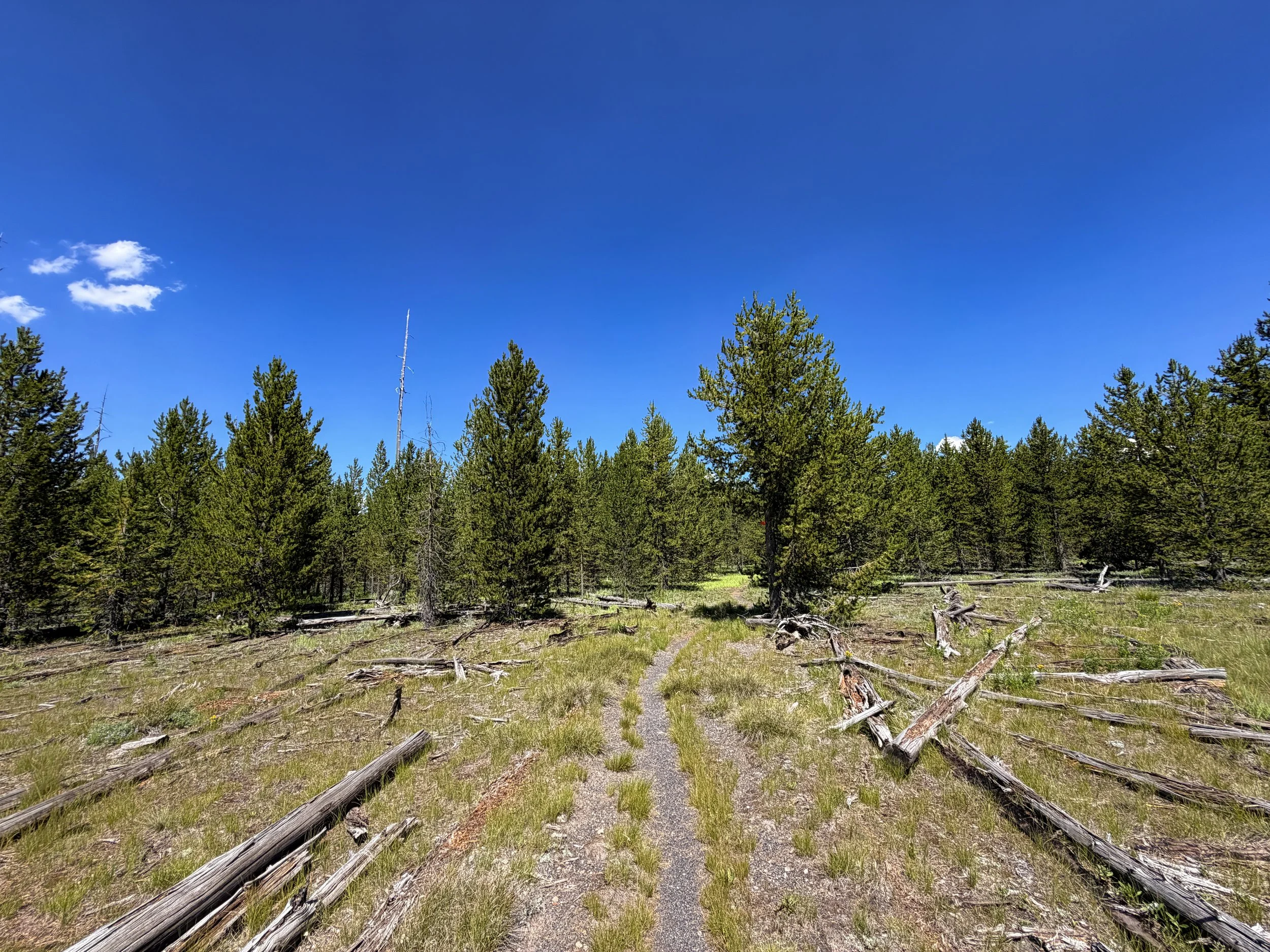 Fern Cascade Loop Hike Yellowstone National Park Wyoming