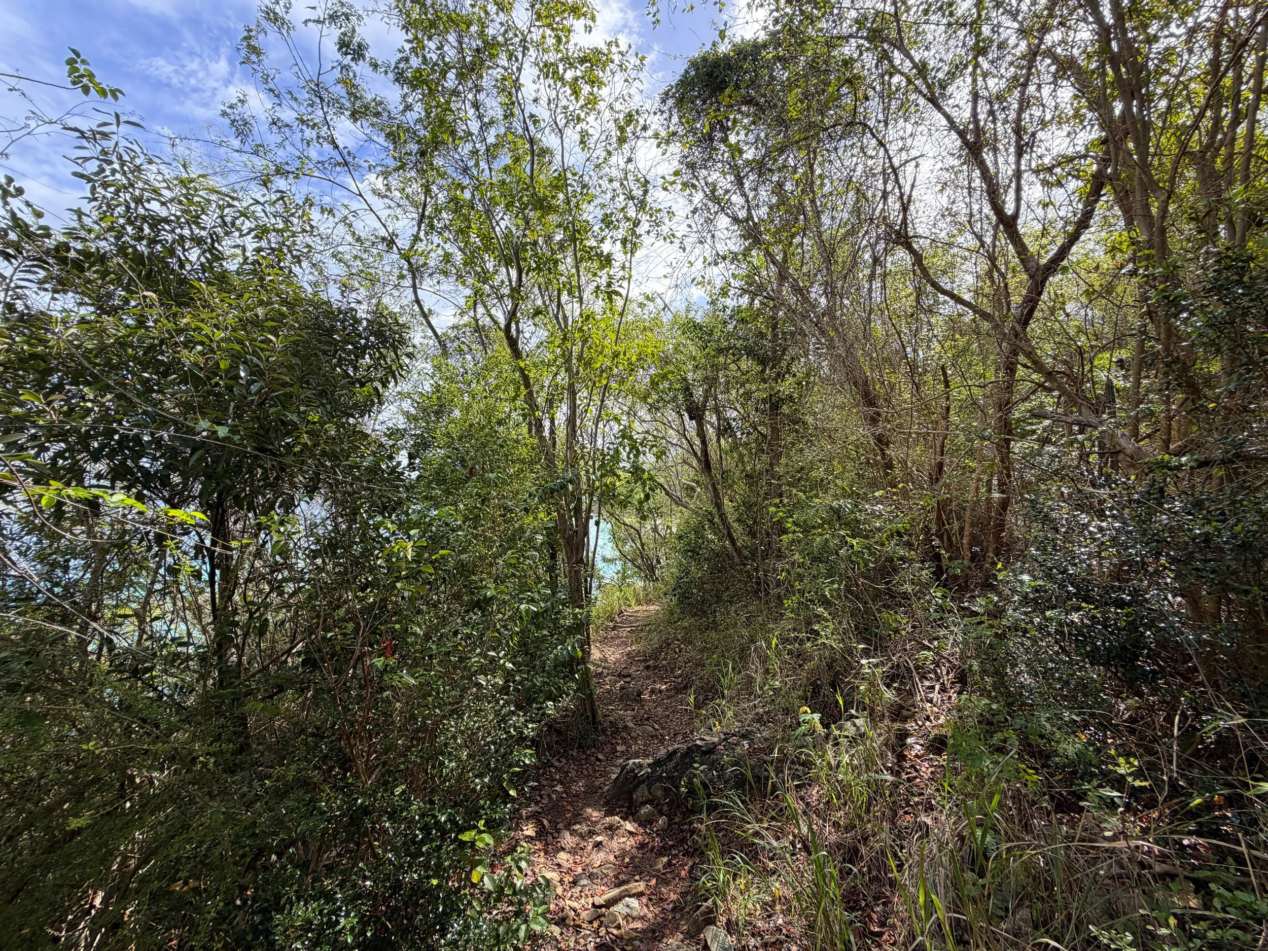 Salomon Beach Trail Virgin Islands National Park