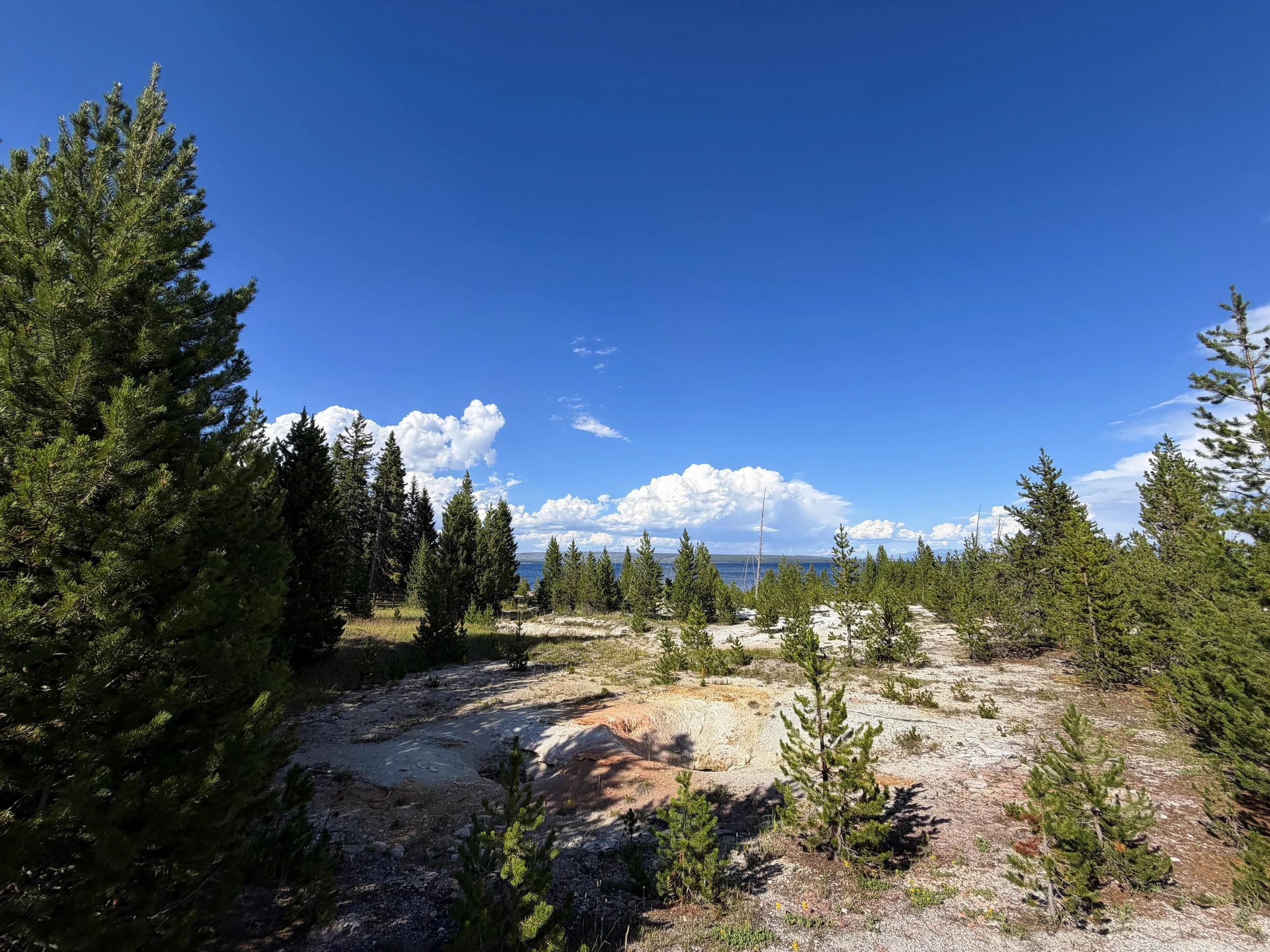 Twin Geyser West Thumb Geyser Basin Trail Yellowstone National Park Wyoming