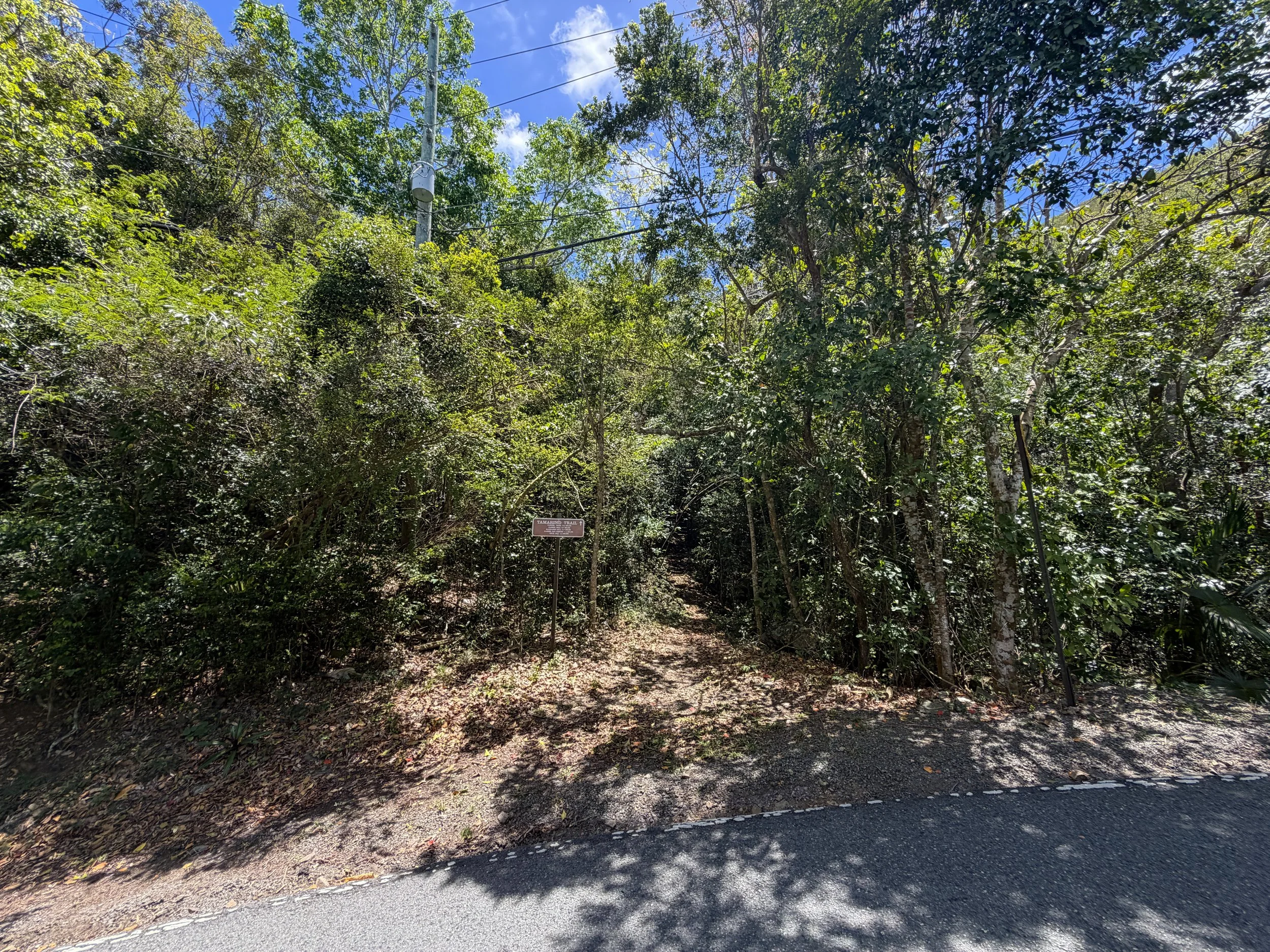 Tamarind Tree Trailhead Virgin Islands National Park