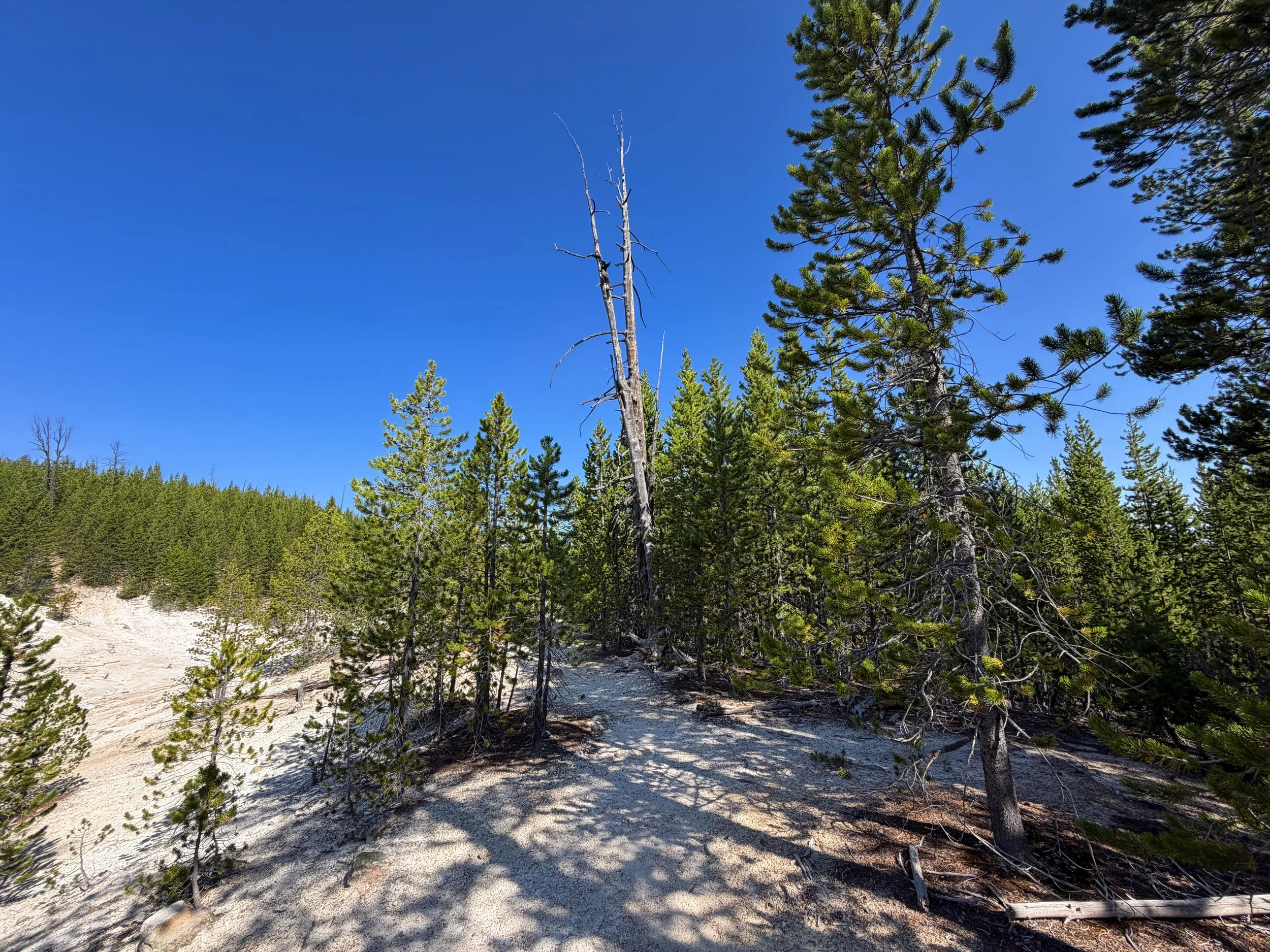 Monument Geyser Basin Yellowstone National Park Wyoming
