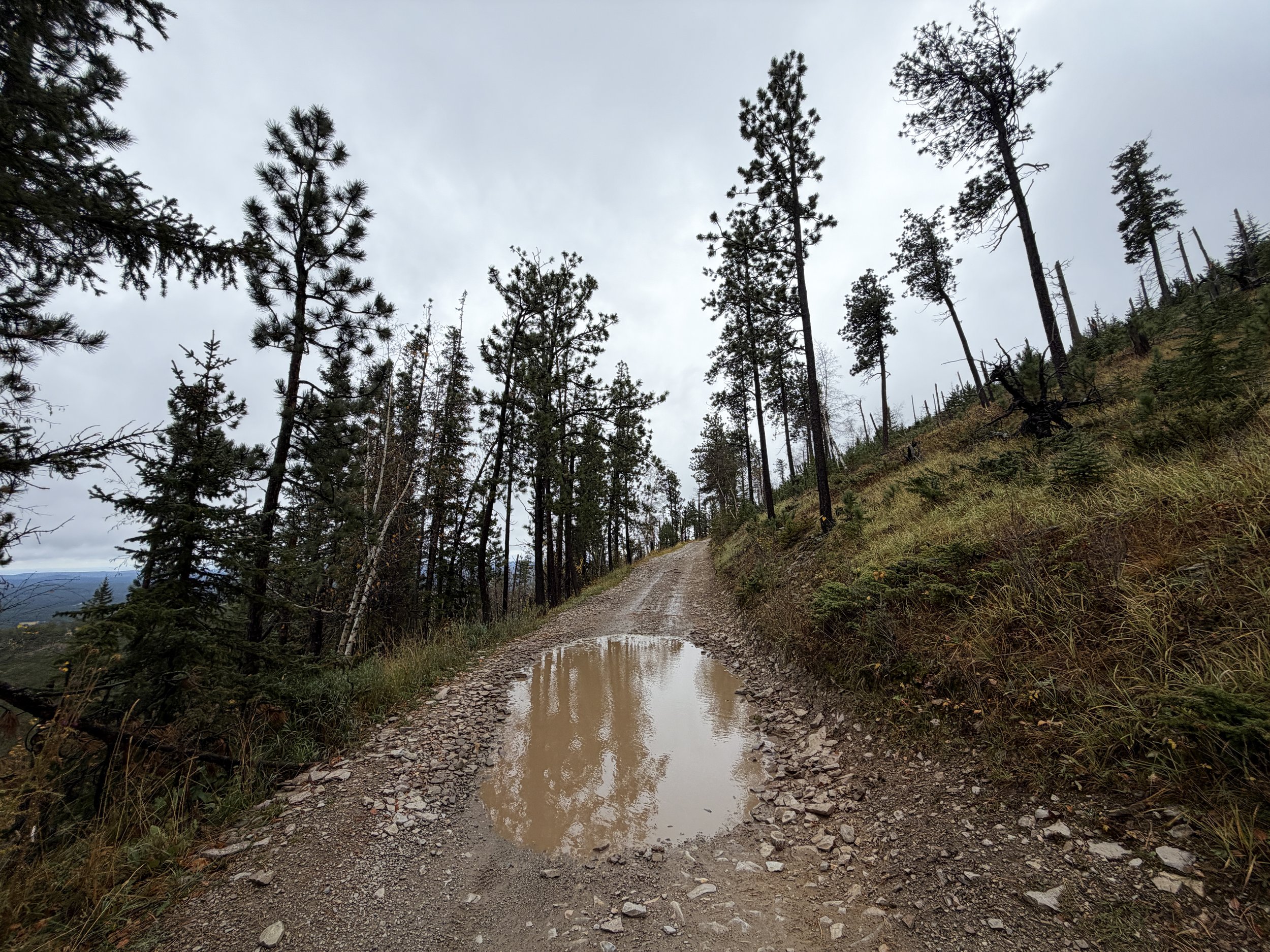 Custer Peak Lookout Hike Black Hills South Dakota