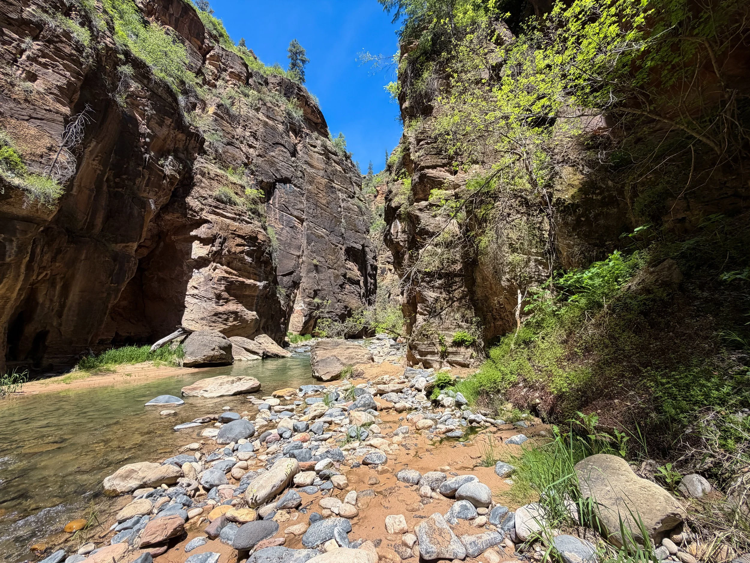 The Narrows Bottom Up to Big Springs Zion National Park Utah