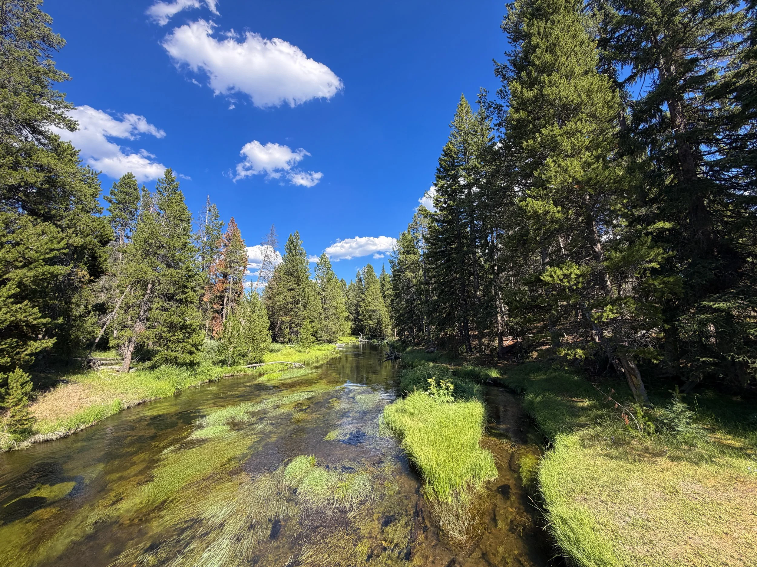 Upper Geyser Hill Trail Yellowstone National Park Wyoming