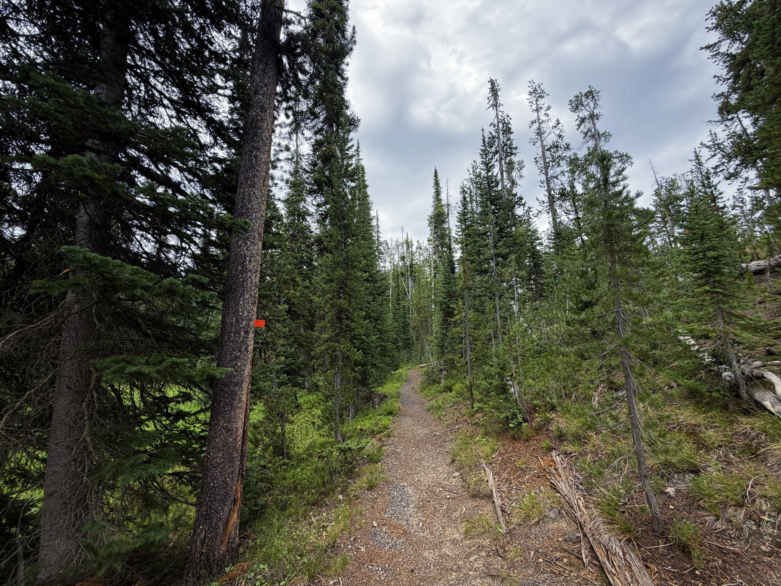 Divide Mountain Trail Yellowstone National Park Wyoming