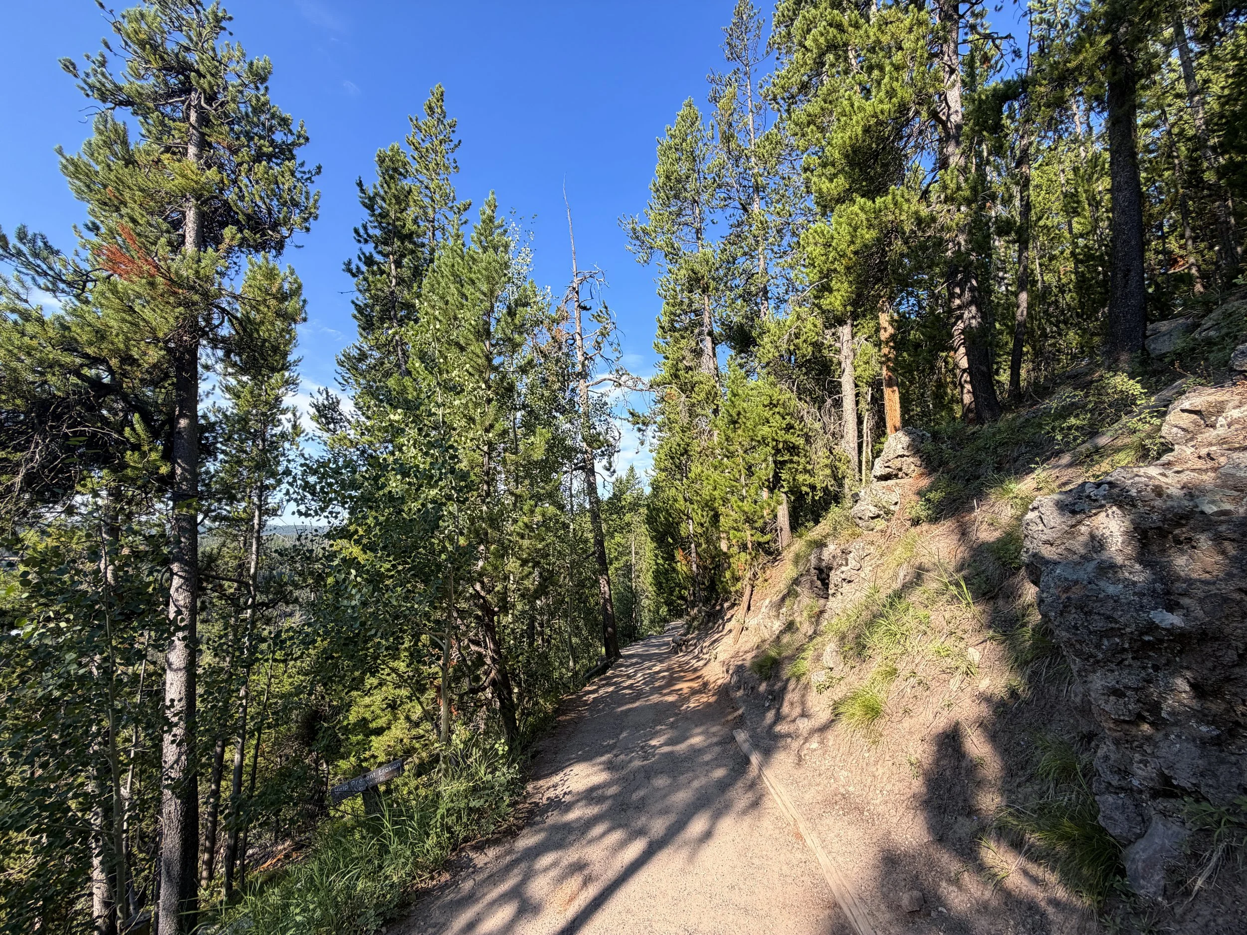 Brink of the Lower Falls Trail Yellowstone National Park Wyoming