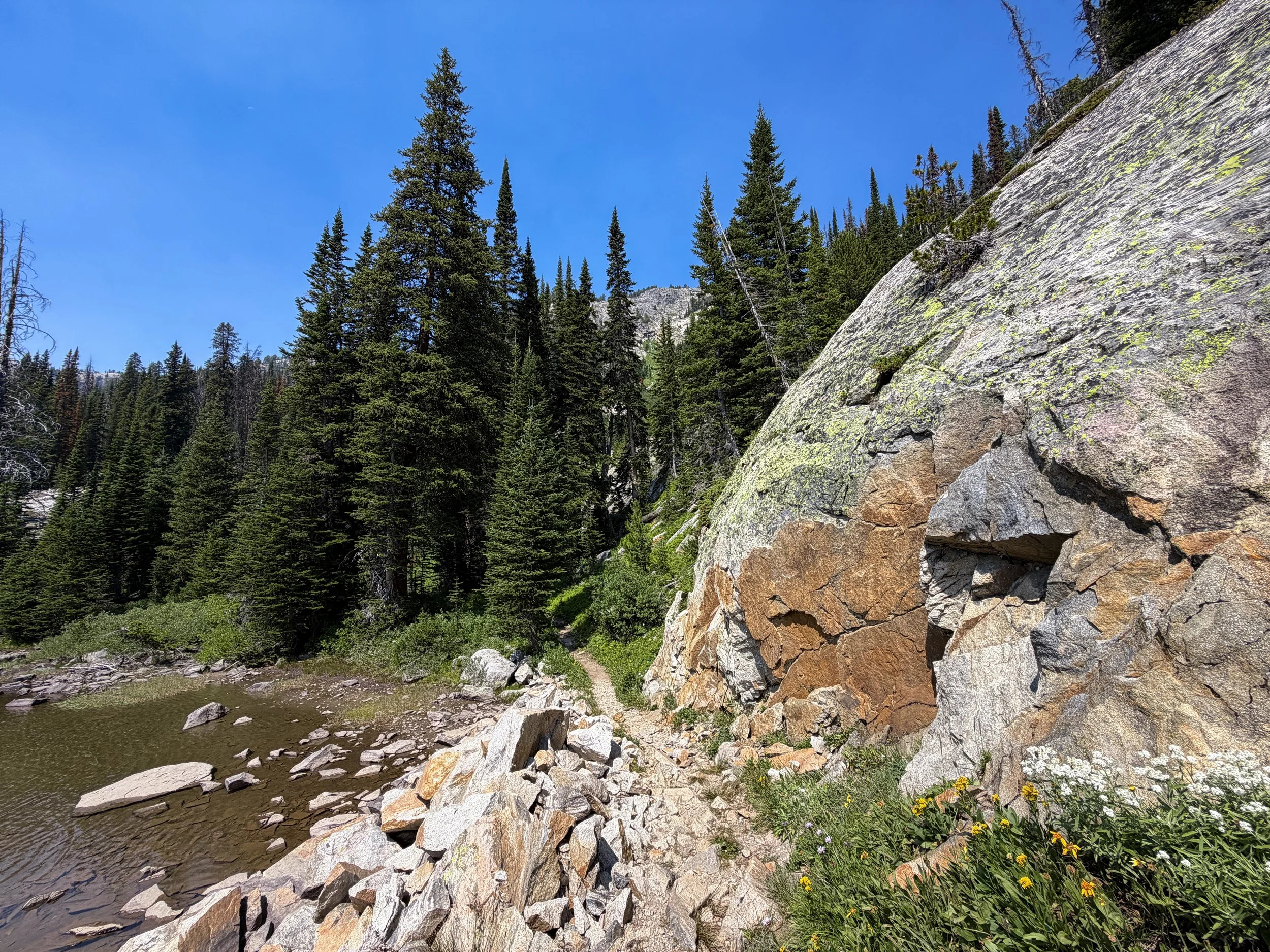 The Beaten Path Trail Beartooth Mountains Montana