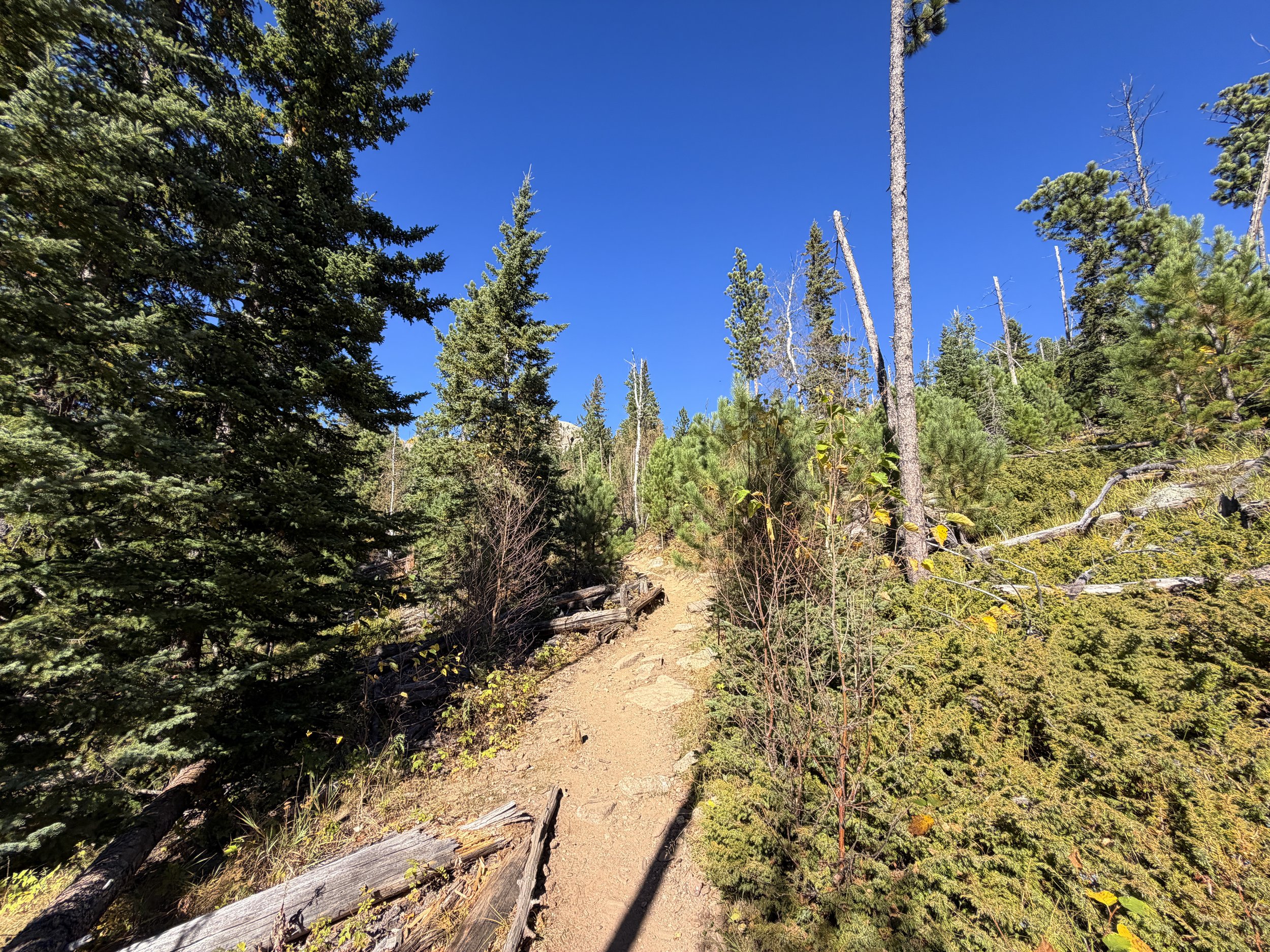 Black Elk Peak Trail via Custer State Park Black Hills South Dakota