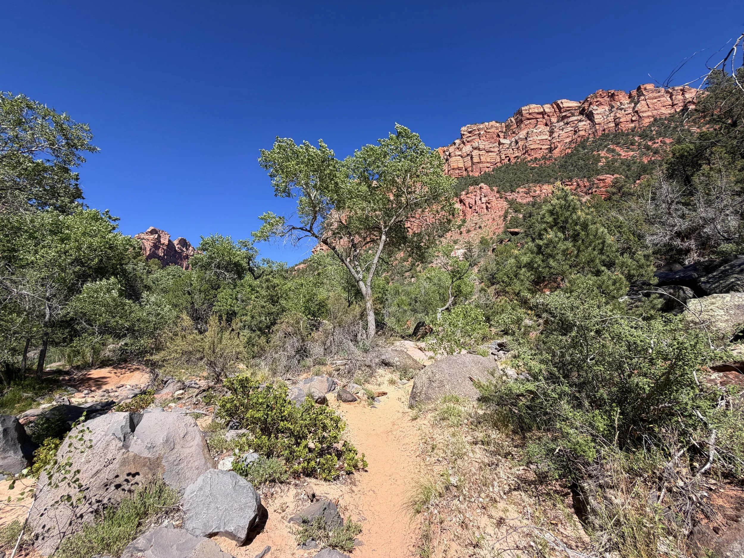 Subway Trail Bottom–Up Route Zion National Park Utah