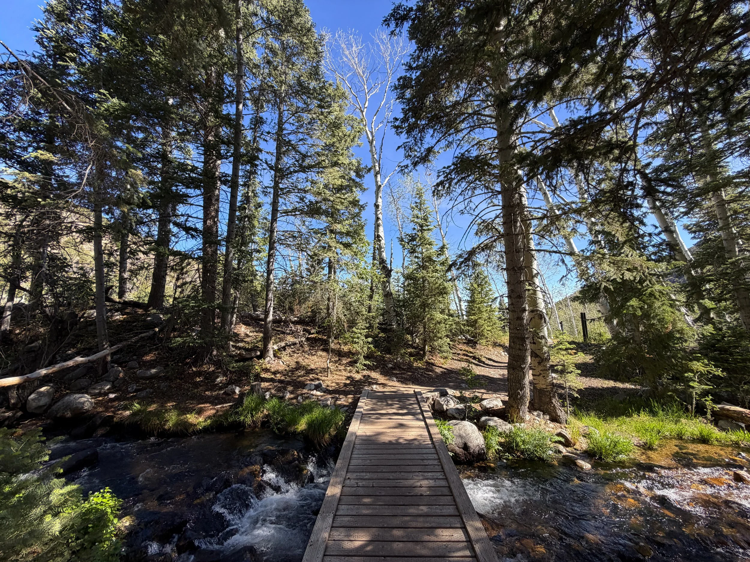 Pole Canyon Trail Great Basin National Park Nevada
