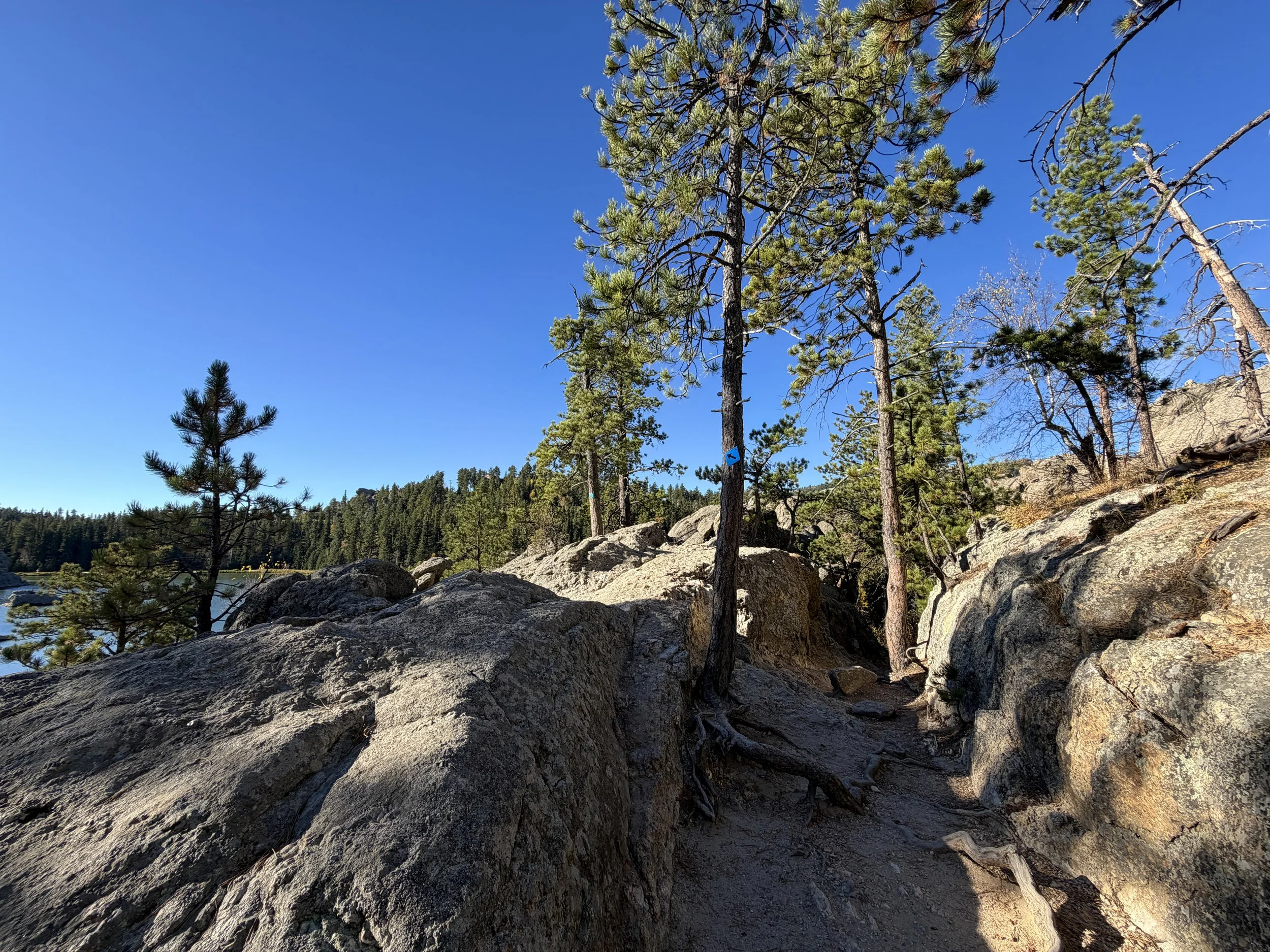 Sylvan Lake to Sunday Gulch Trail Custer State Park Black Hills South Dakota
