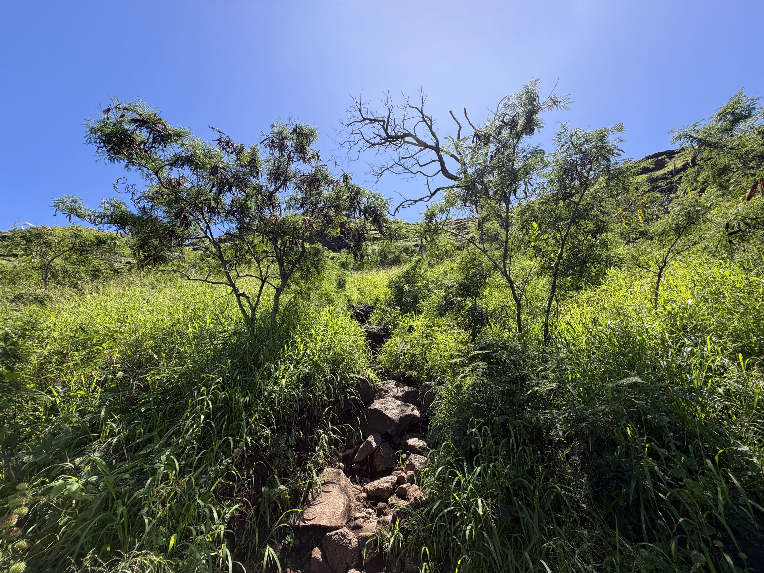 Puu O Hulu Hike Oahu Hawaii