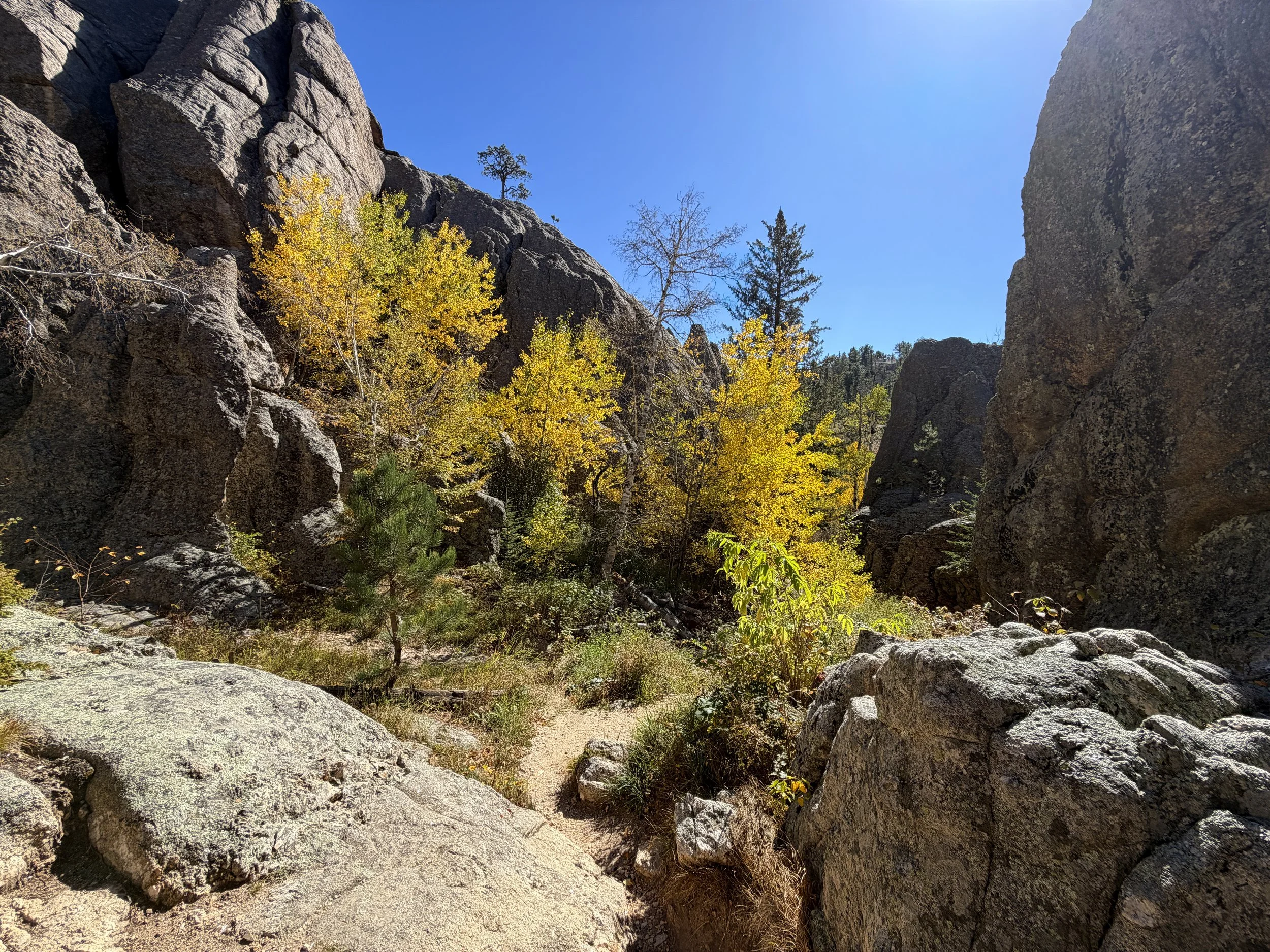 Sunday Gulch Trail Custer State Park Black Hills South Dakota