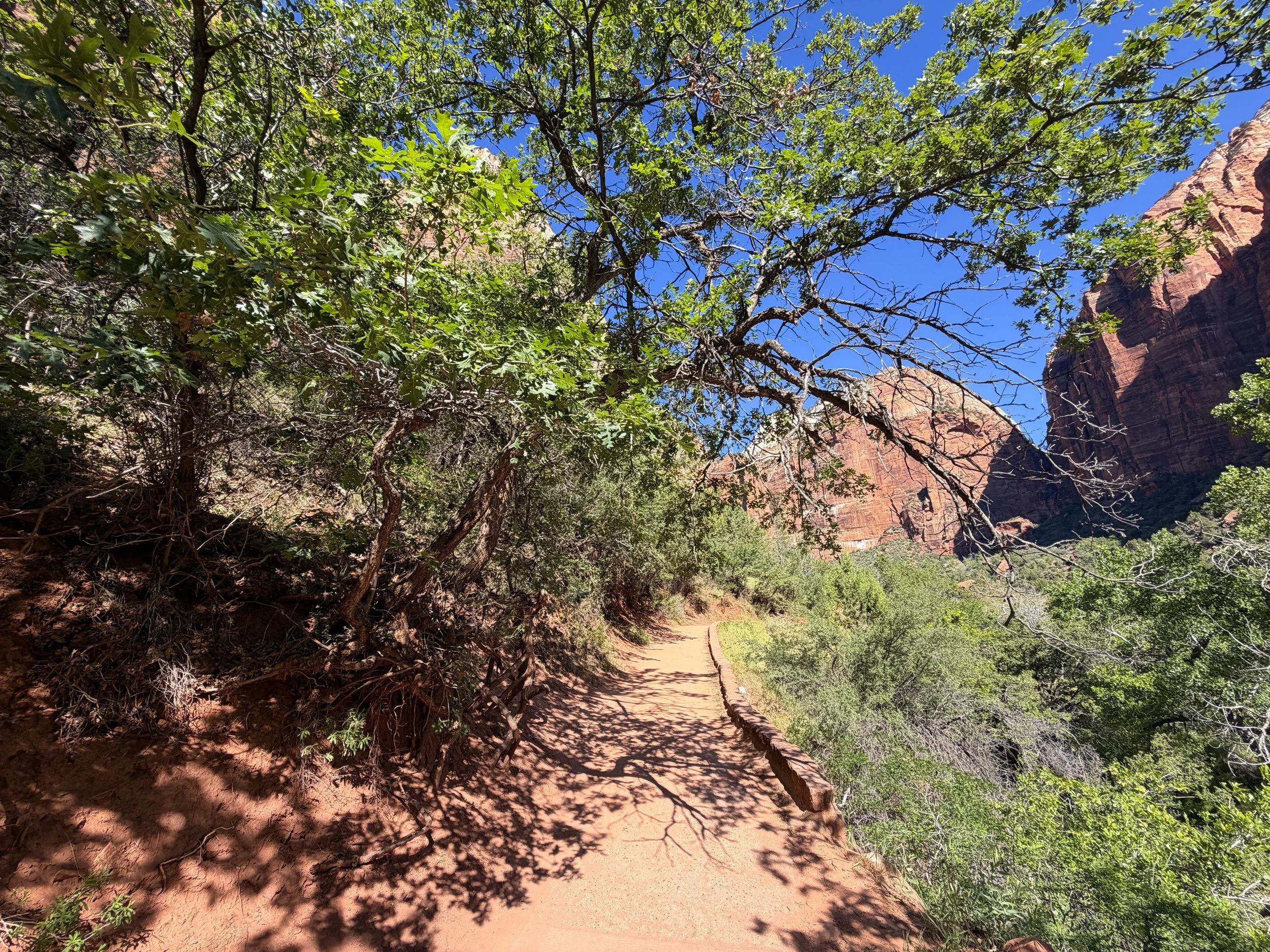 Lower Emerald Pools Trail Zion National Park Utah