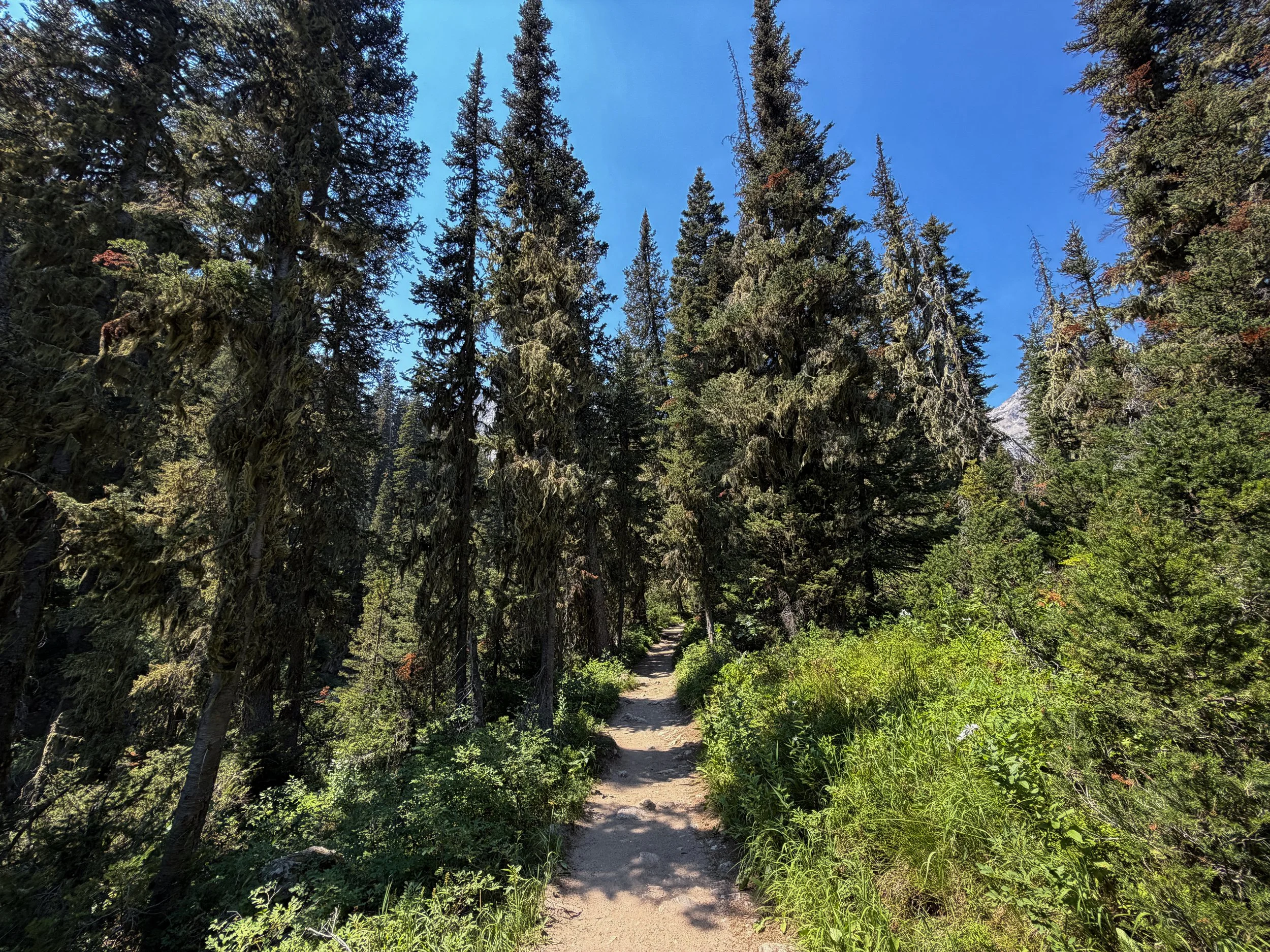 Cascade Canyon Trail Grand Teton National Park Wyoming