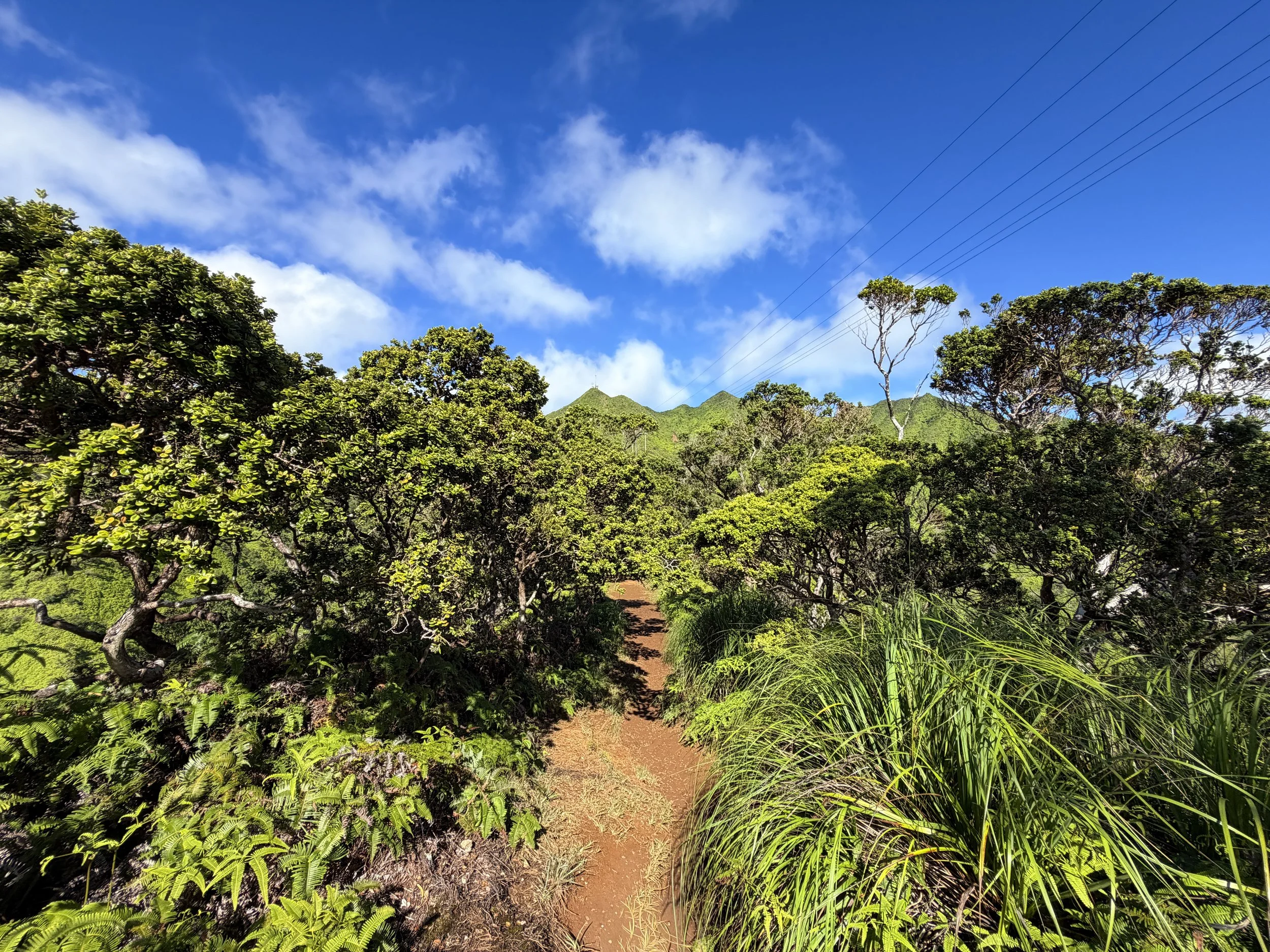 Wiliwilinui Ridge Trail Oahu Hawaii