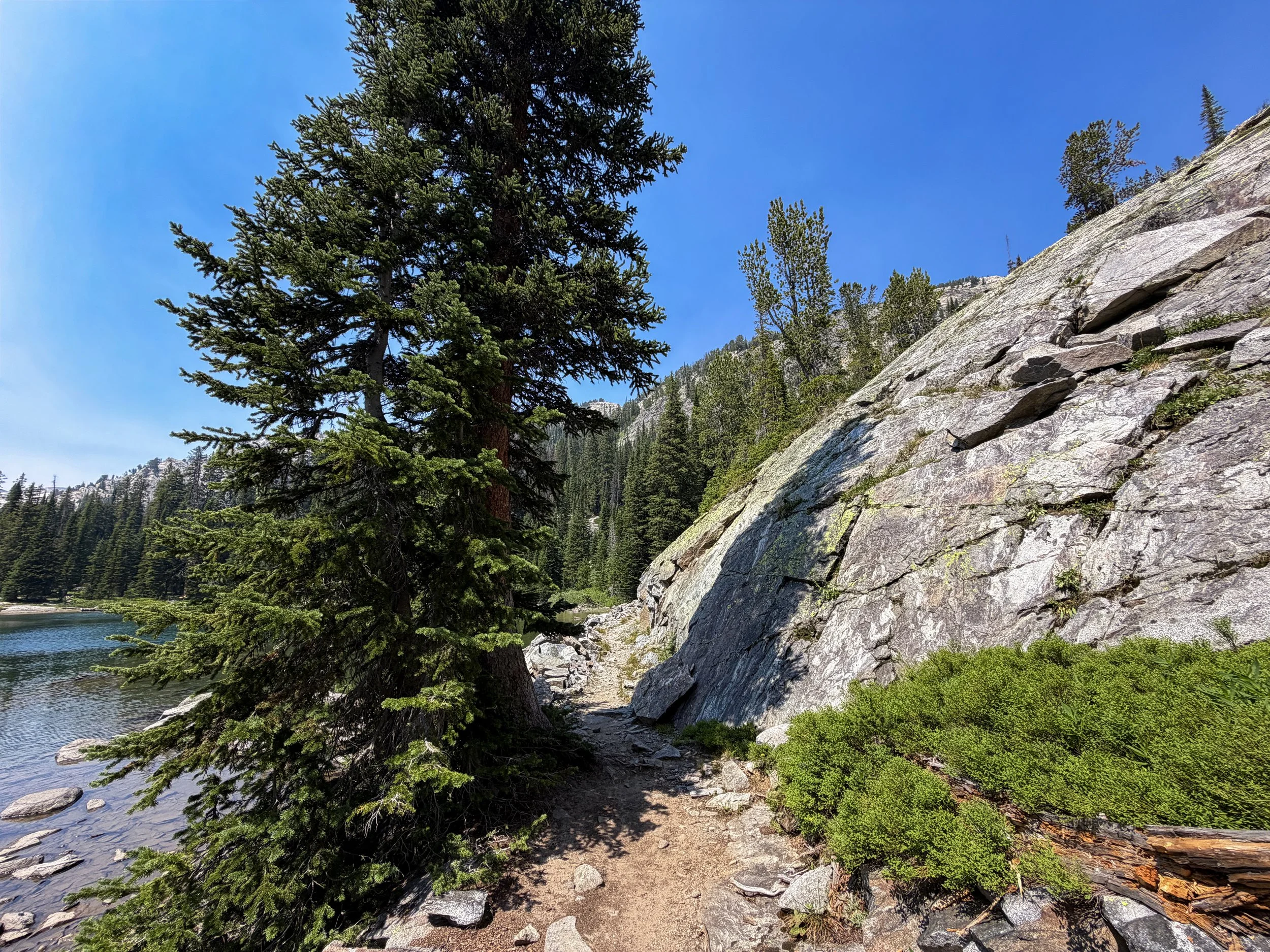 The Beaten Path Trail Beartooth Mountains Montana
