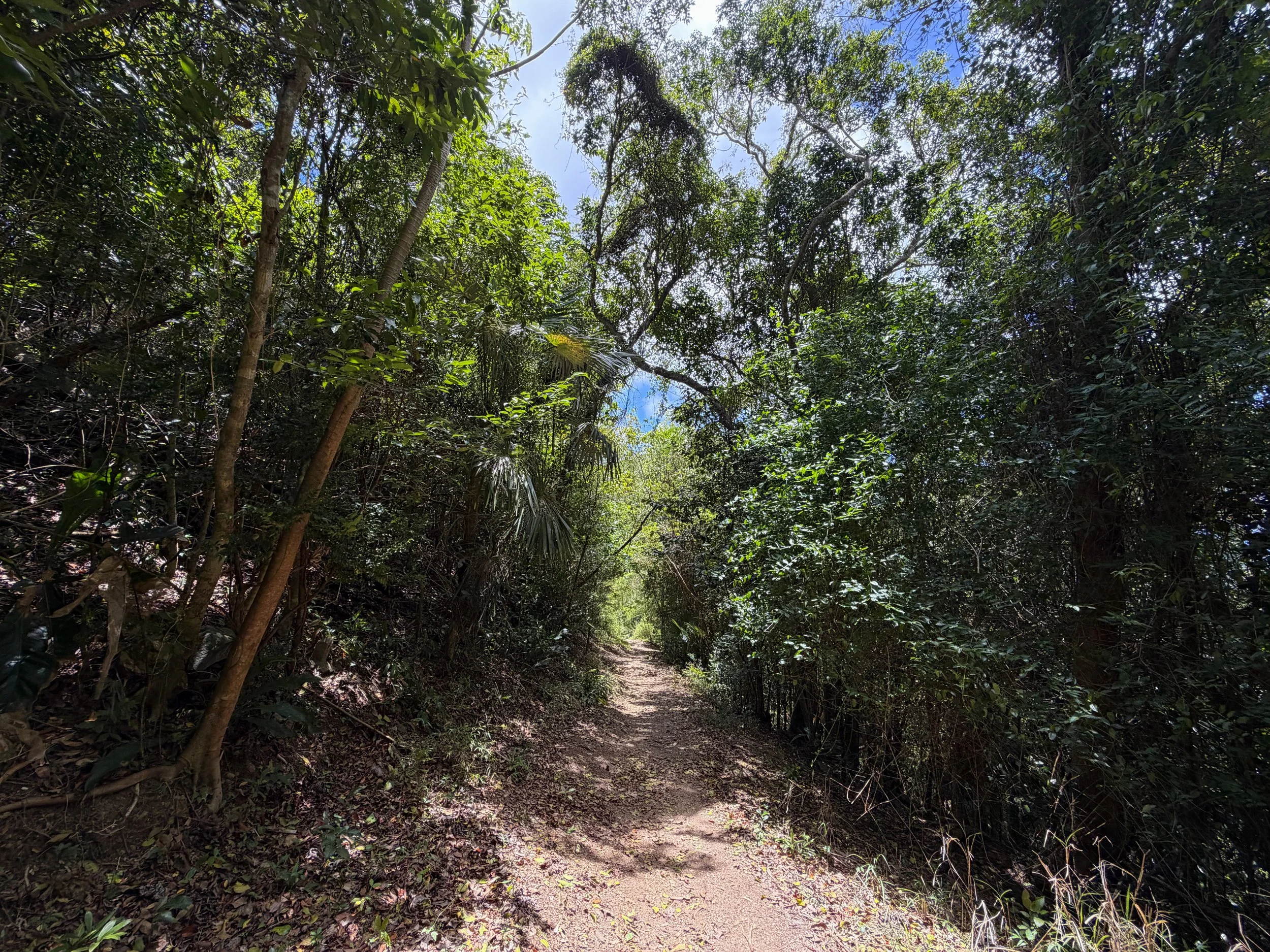 Reef Bay Trail Virgin Islands National Park