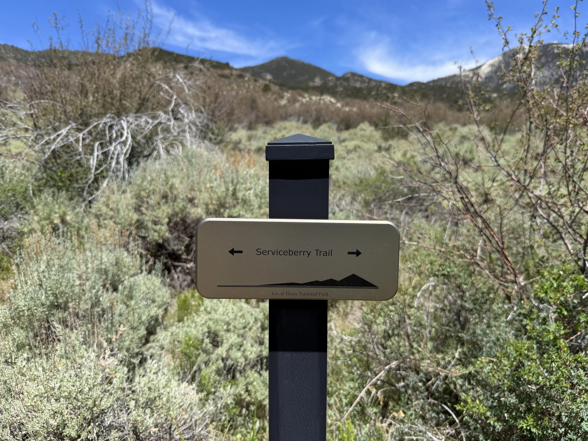Serviceberry Loop Trailhead Great Basin National Park Nevada