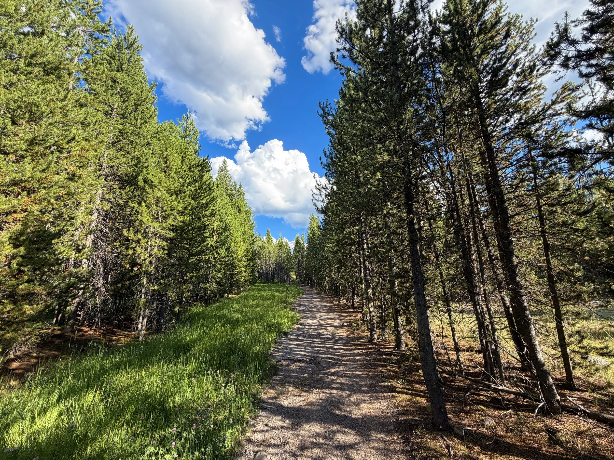 Artemisia Trail to the Morning Glory Pool Yellowstone National Park Wyoming