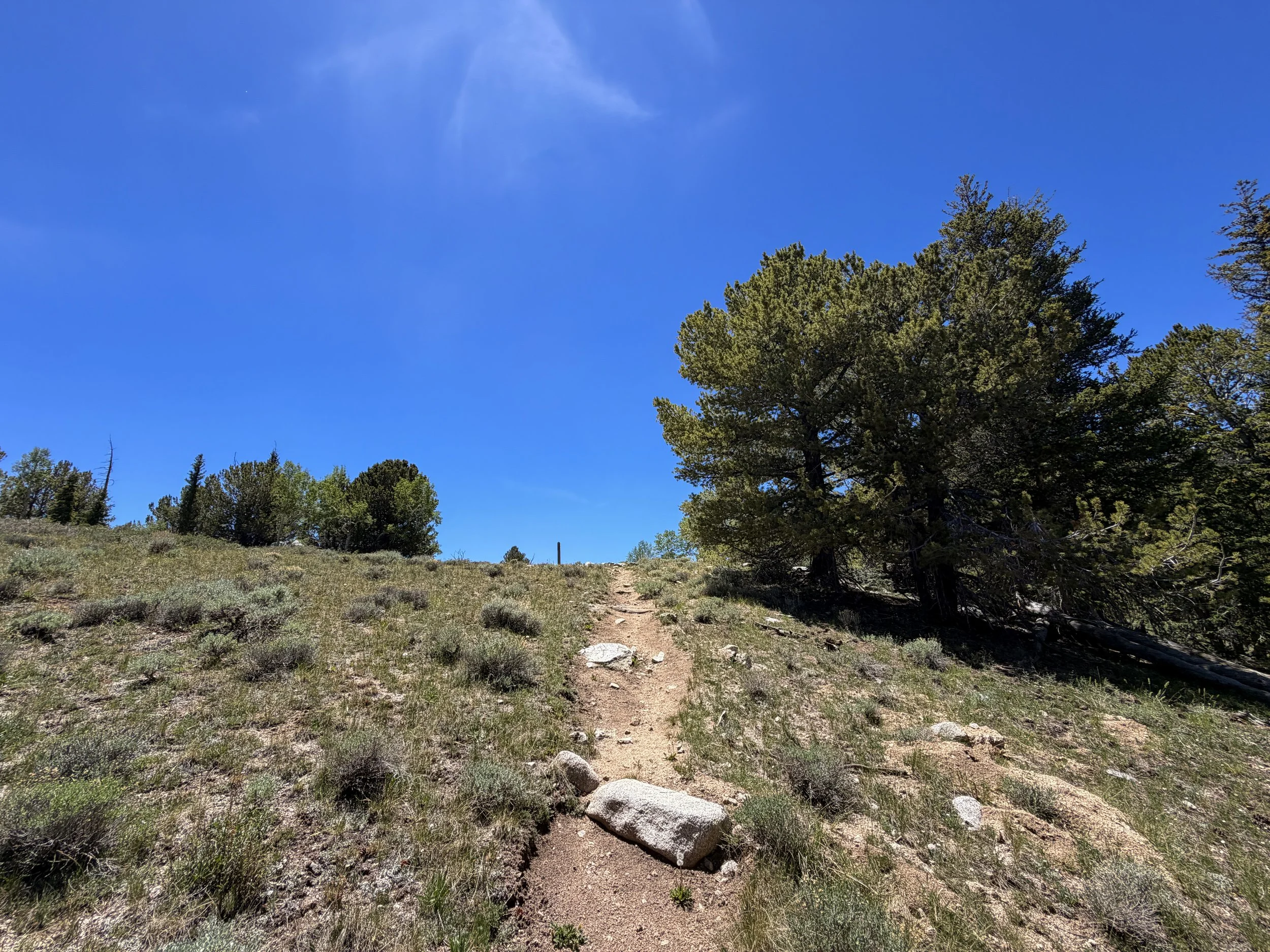 Timber Creek Trail Great Basin National Park Nevada
