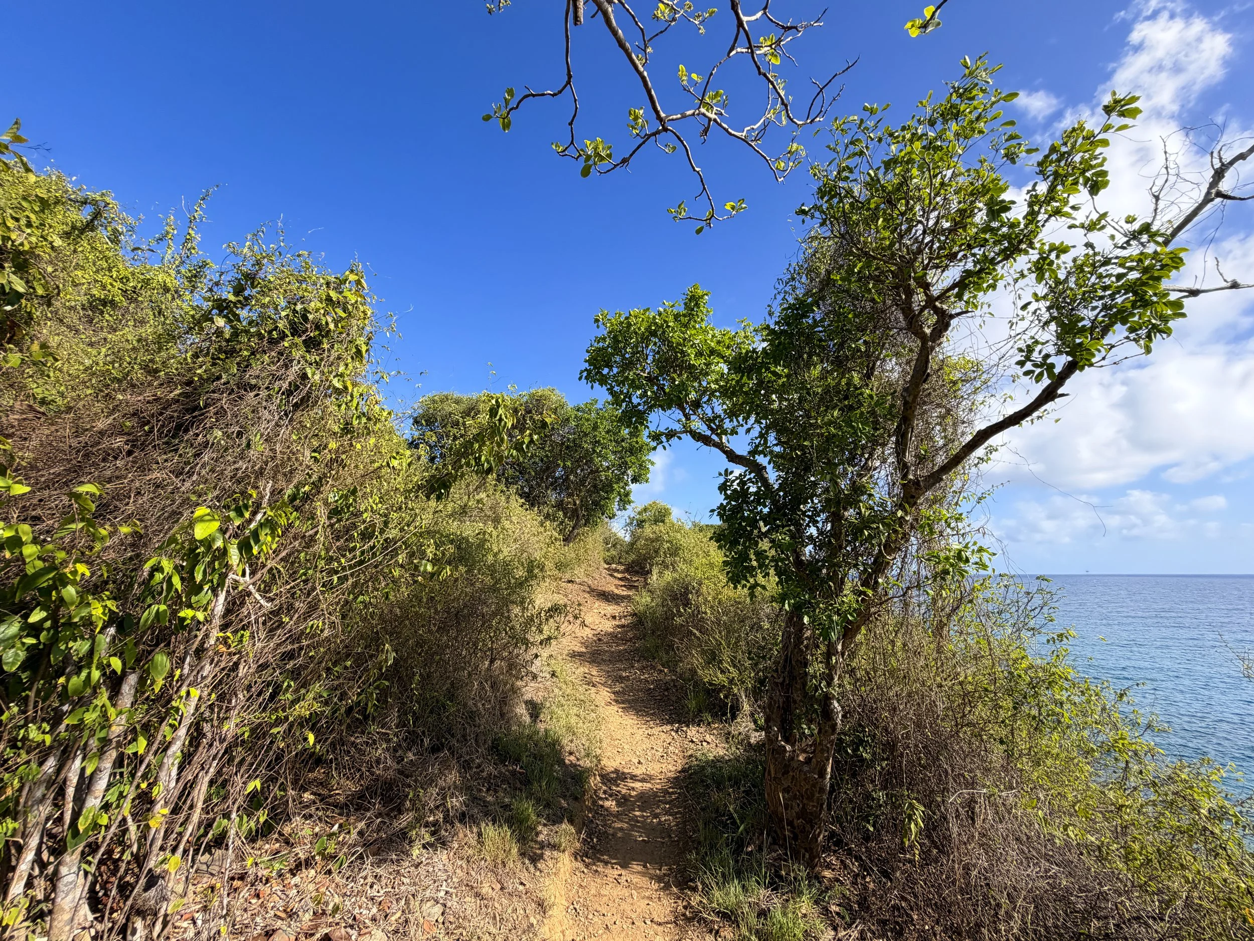 Ram Head Hike Virgin Islands National Park