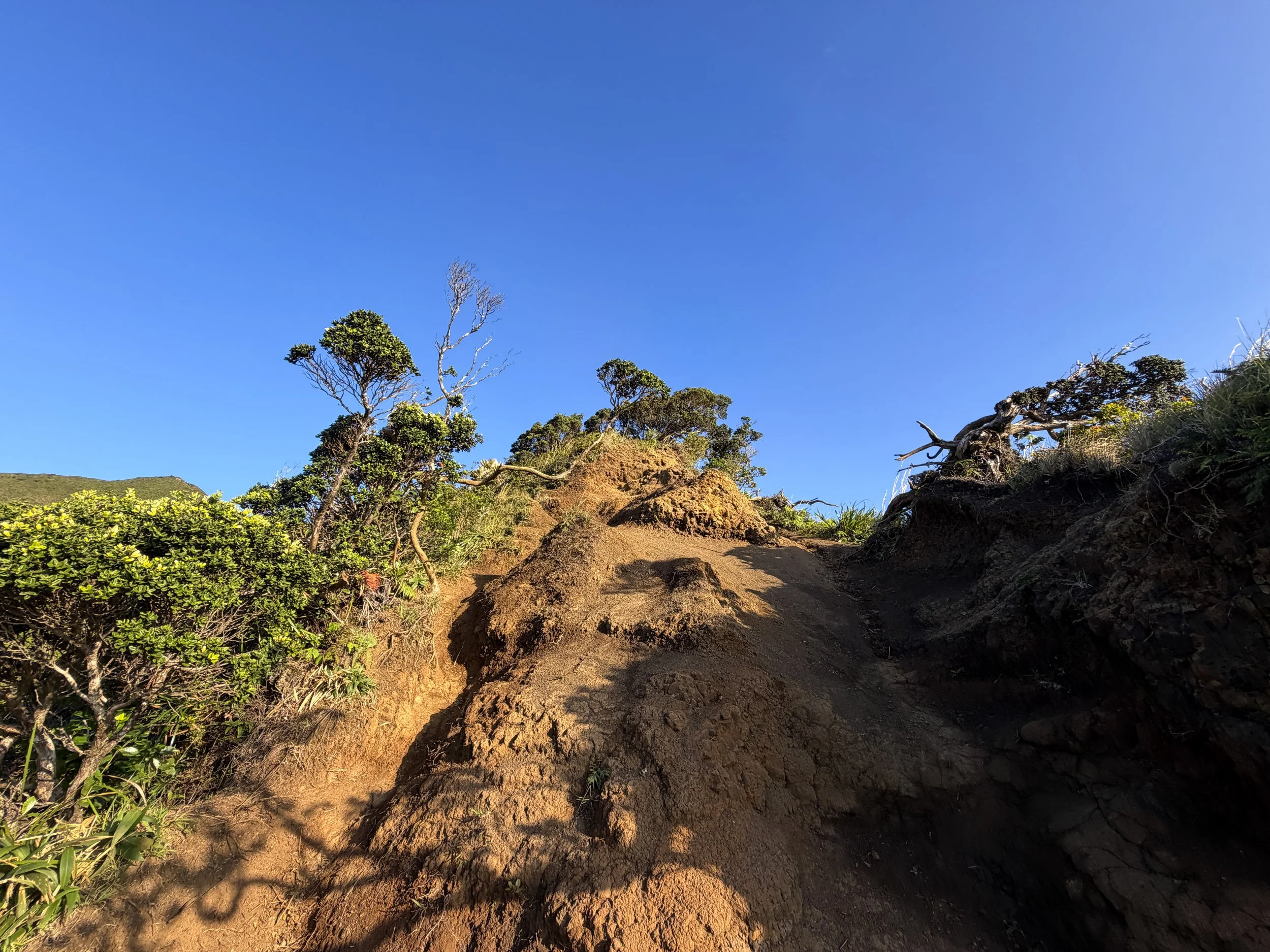 Moanalua Middle Ridge Trail to Haiku Stairs Oahu Hawaii