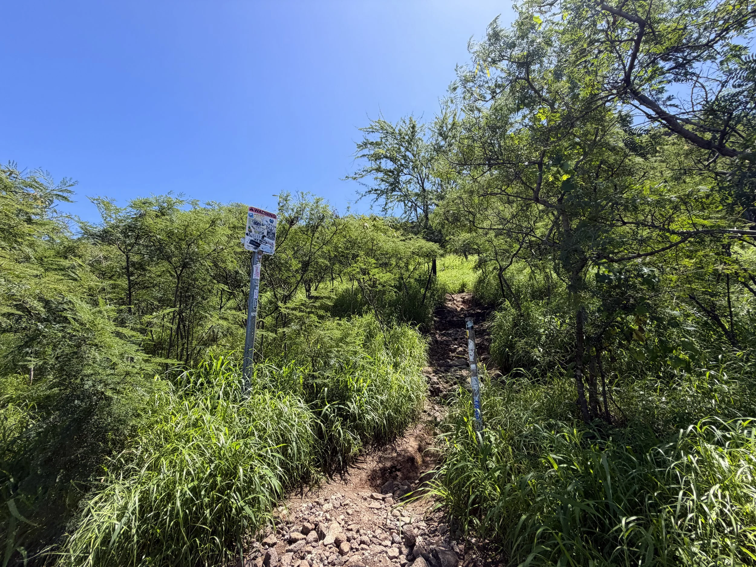 Puu O Hulu Trail Oahu Hawaii