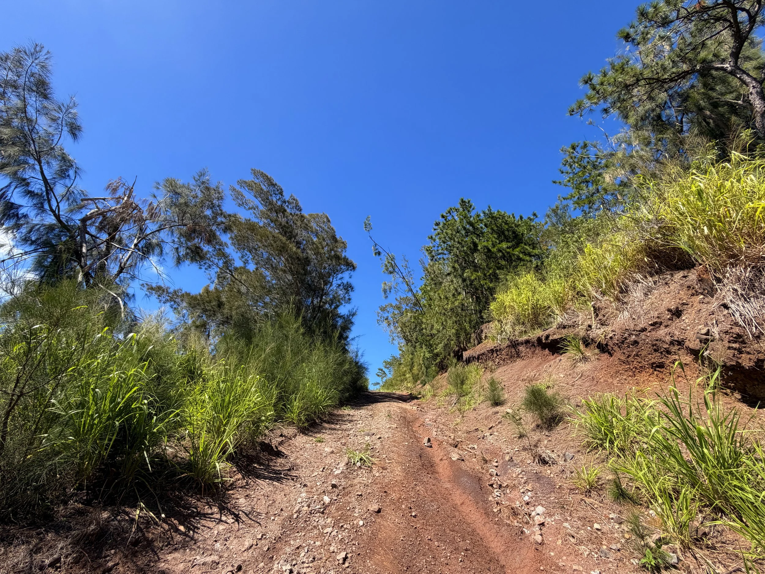 Kuaokala Trail Oahu Hawaii