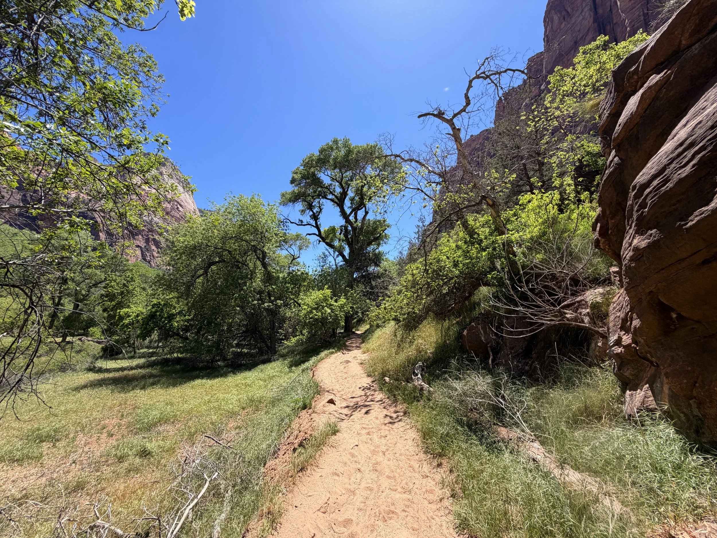 Sand Bench Trail via Zion Lodge Zion National Park Utah