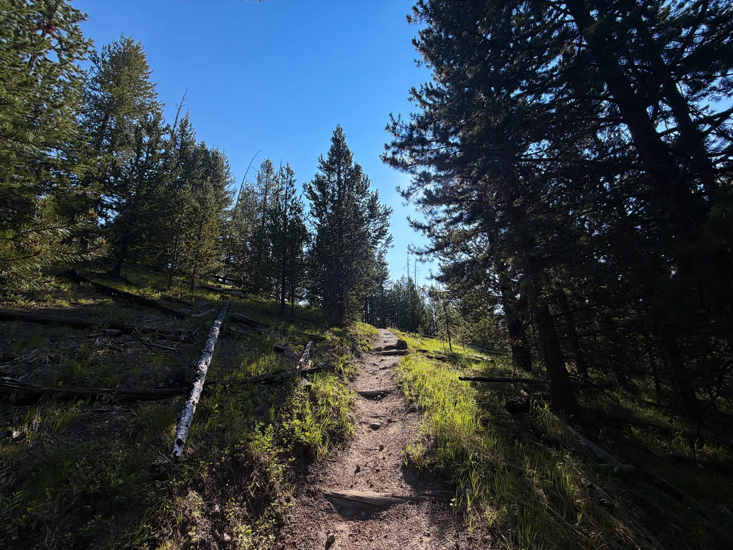 Mystic Falls Trail Yellowstone National Park Wyoming