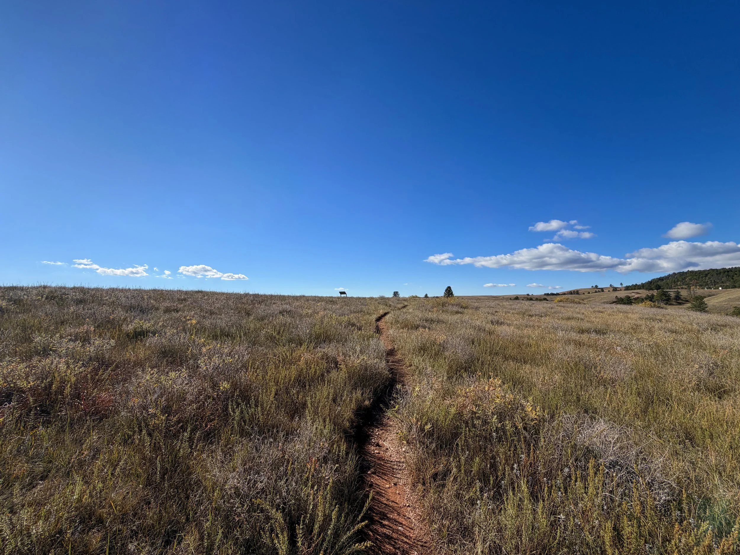 Prairie Vista Nature Trail Wind Cave National Park South Dakota